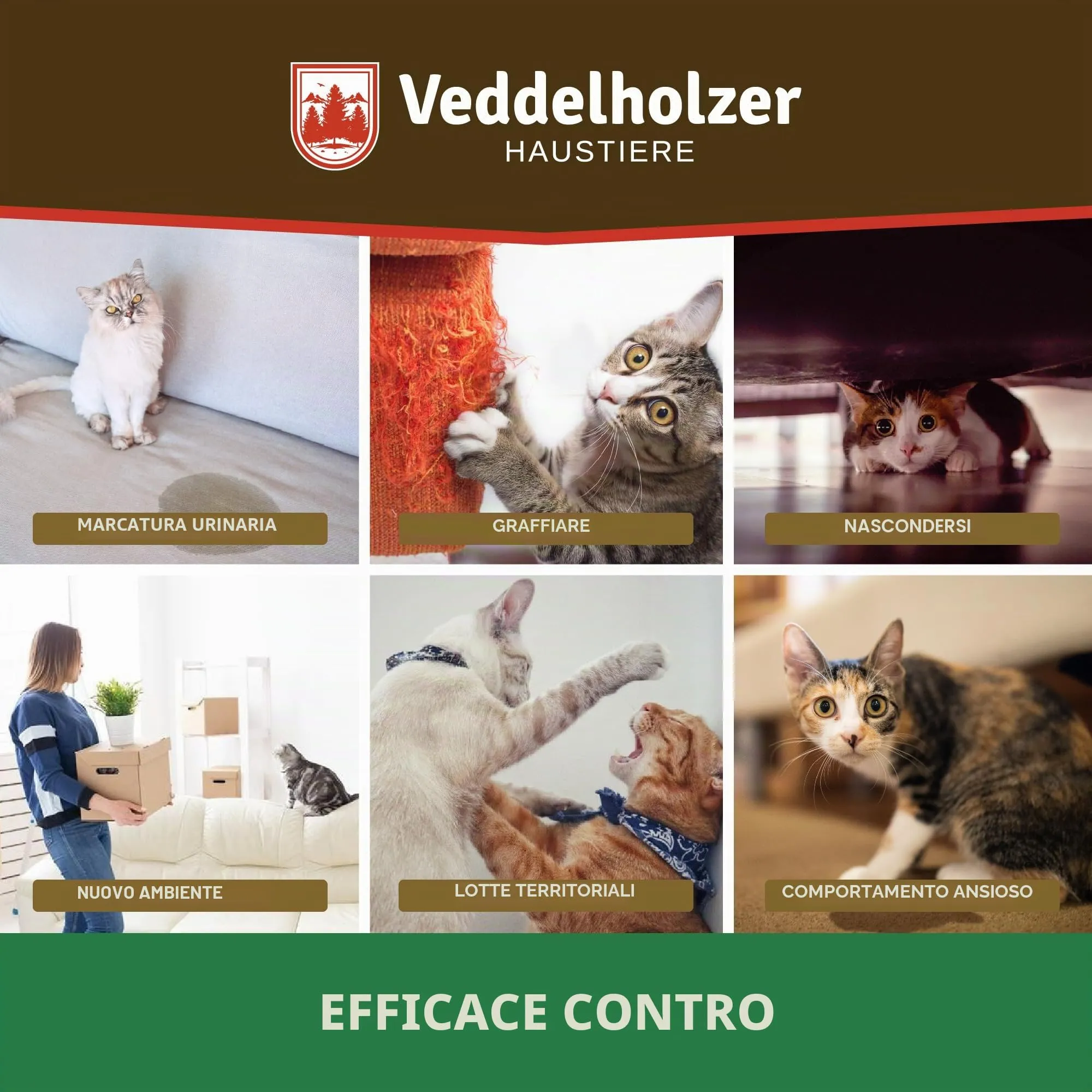 Veddelholzer Relax Cat Pheromone Diffusore di Feromoni per Gatti Set composto da Vaporizzatore + Flacone da 45ml Calmante per Gatti Mezzi per Rilassamento & Anti Stress per Gatti Prevenire - immagine 3