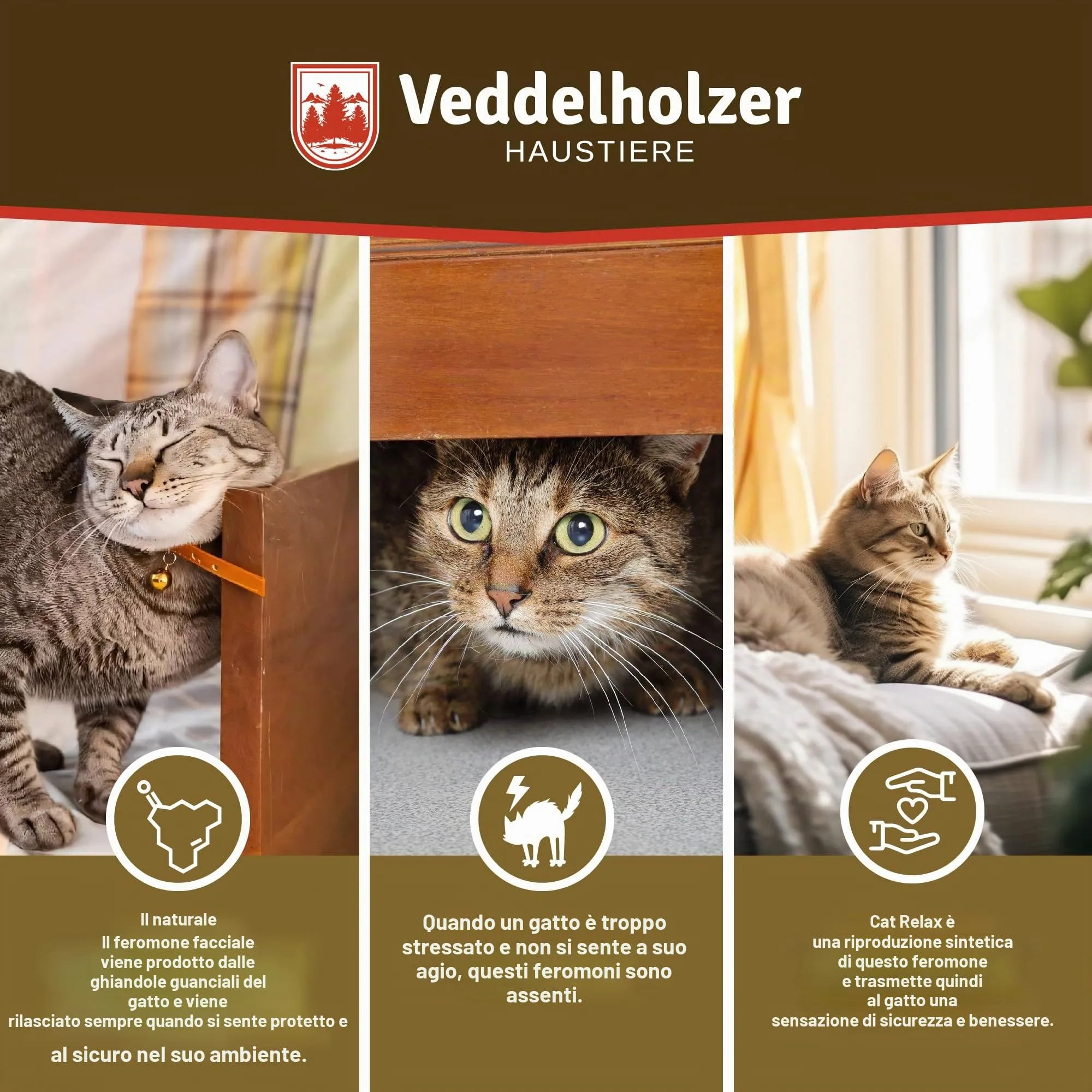 Veddelholzer Relax Cat Pheromone Diffusore di Feromoni per Gatti Set composto da Vaporizzatore + Flacone da 45ml Calmante per Gatti Mezzi per Rilassamento & Anti Stress per Gatti Prevenire - immagine 6