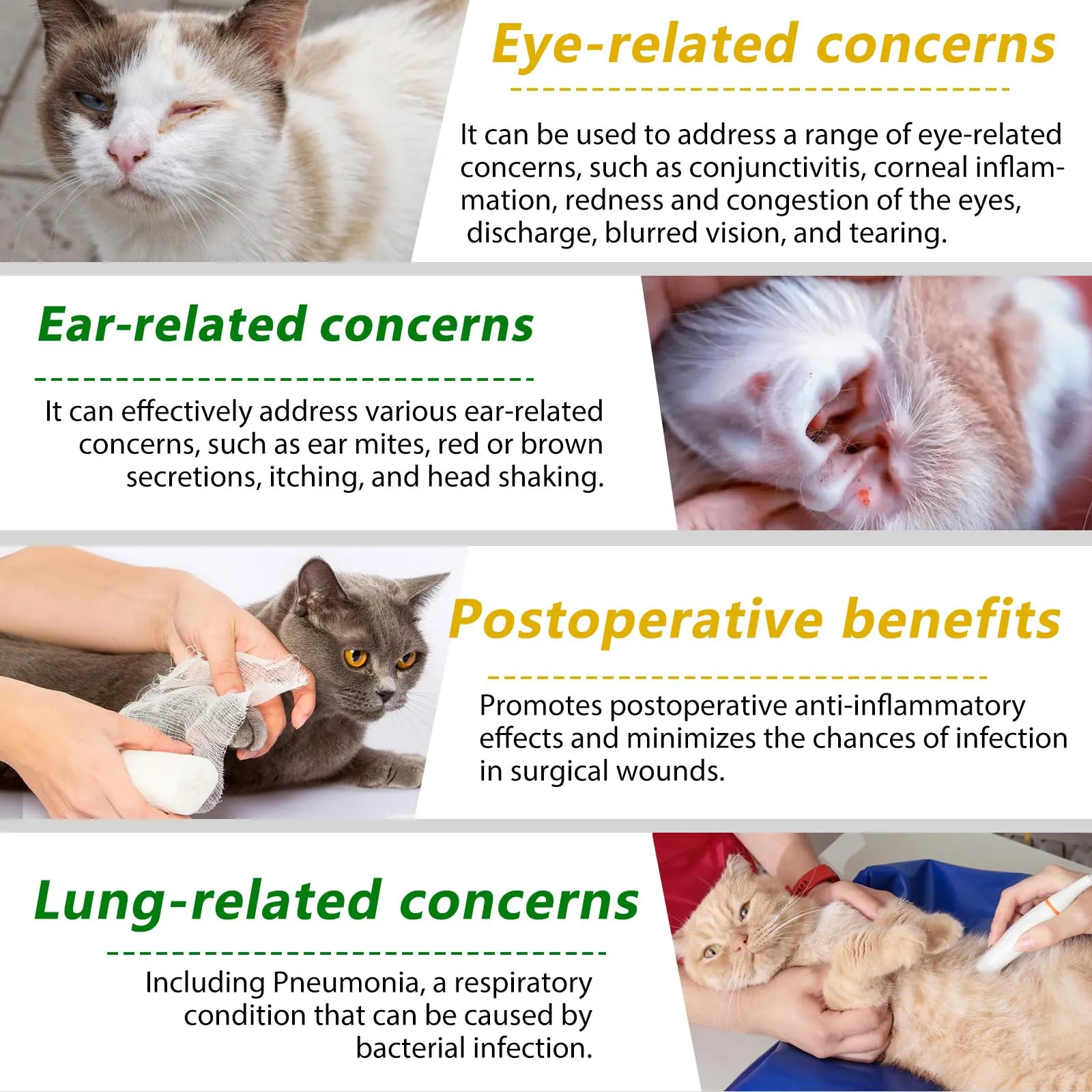 Antibiotici Per Gatti Per Infezioni, Supporto Alle Difese Immunitarie E Alle Allergie Dei Gatti, Sollievo Dal Prurito, 60ml - immagine 5