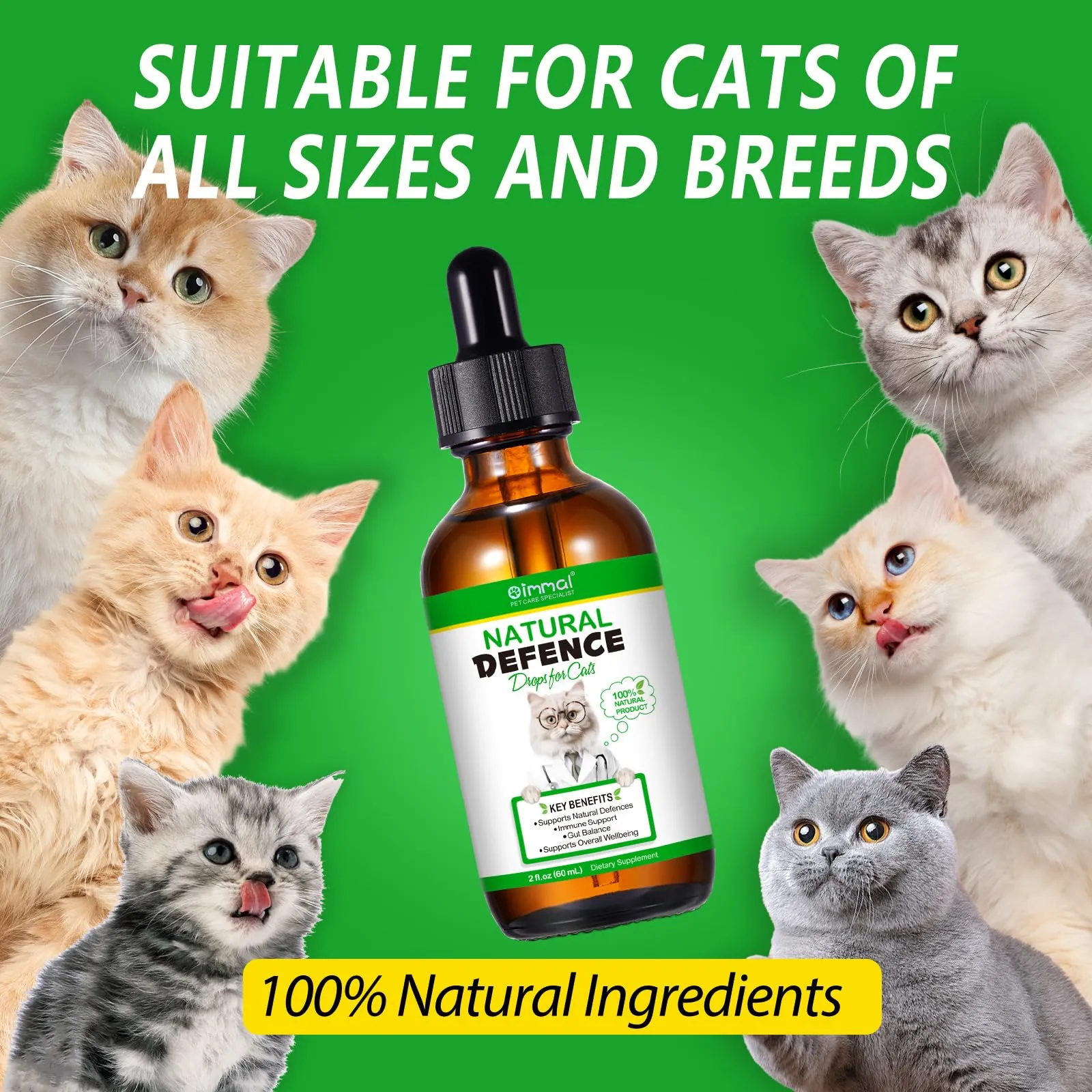 Antibiotici Per Gatti Per Infezioni, Supporto Alle Difese Immunitarie E Alle Allergie Dei Gatti, Sollievo Dal Prurito, 60ml - immagine 7