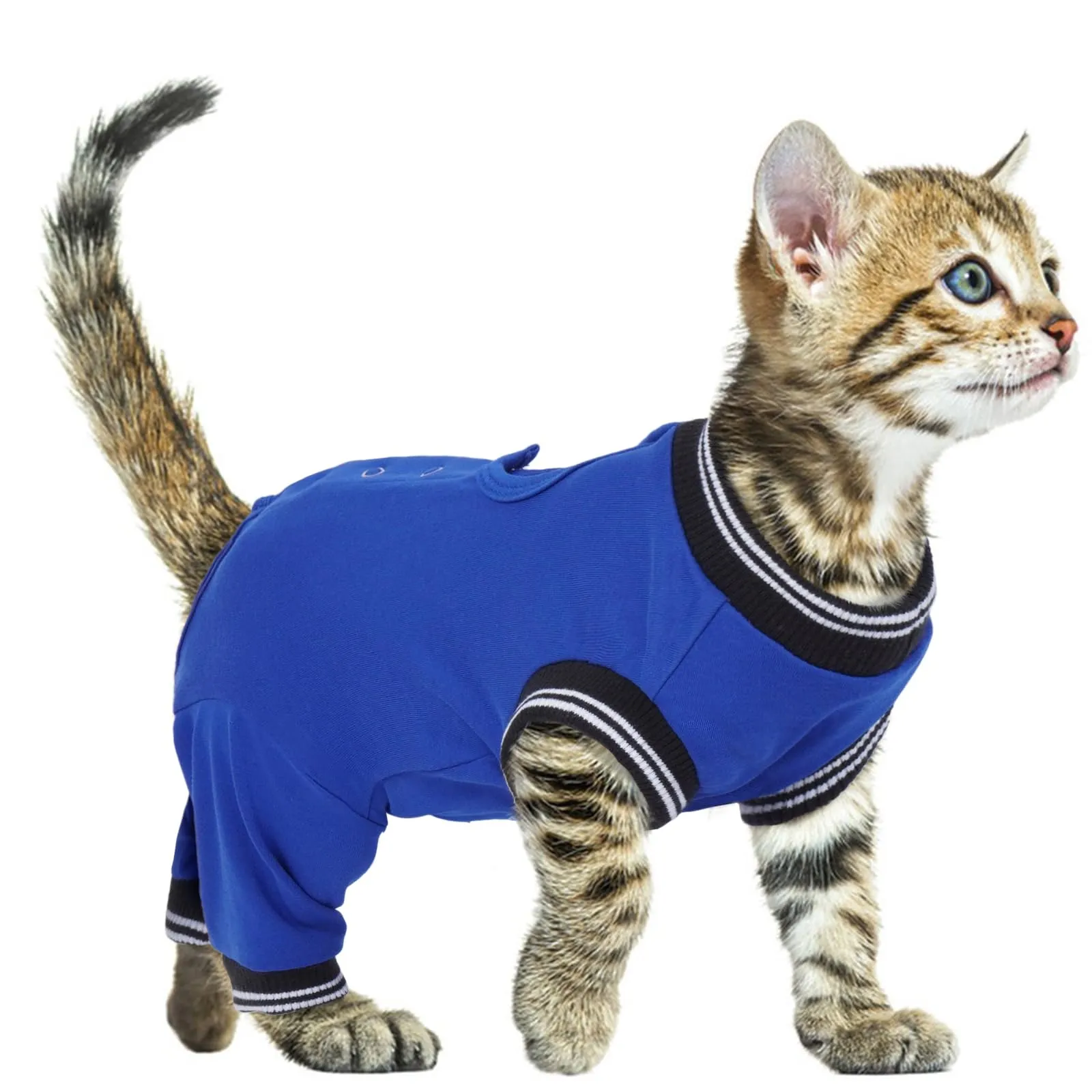 PUMYPOREITY Gatto Operatoria Post Sterilizzazione Chirurgica Gatto Femmina Blu Reale - immagine 1