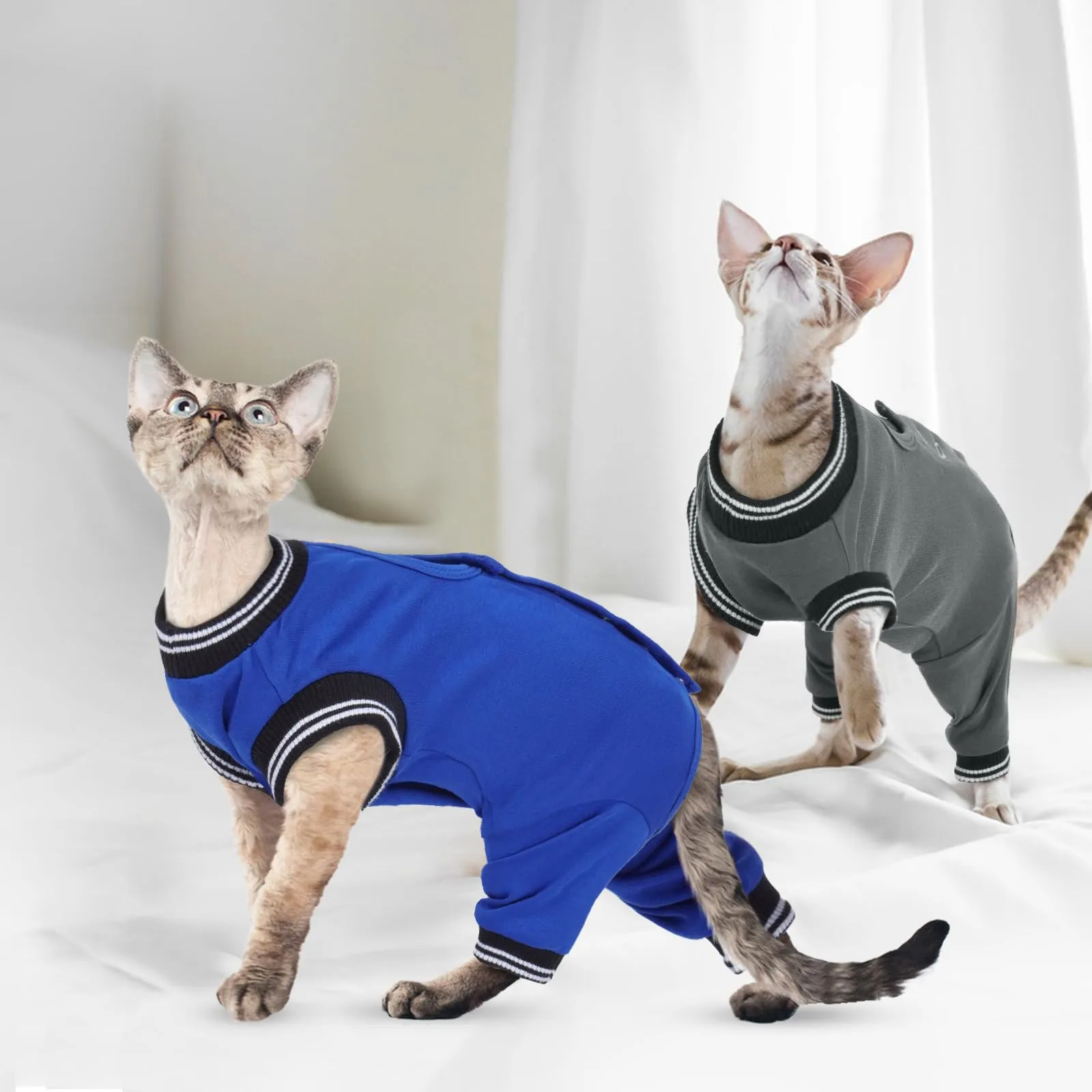PUMYPOREITY Gatto Operatoria Post Sterilizzazione Chirurgica Gatto Femmina Blu Reale - immagine 7
