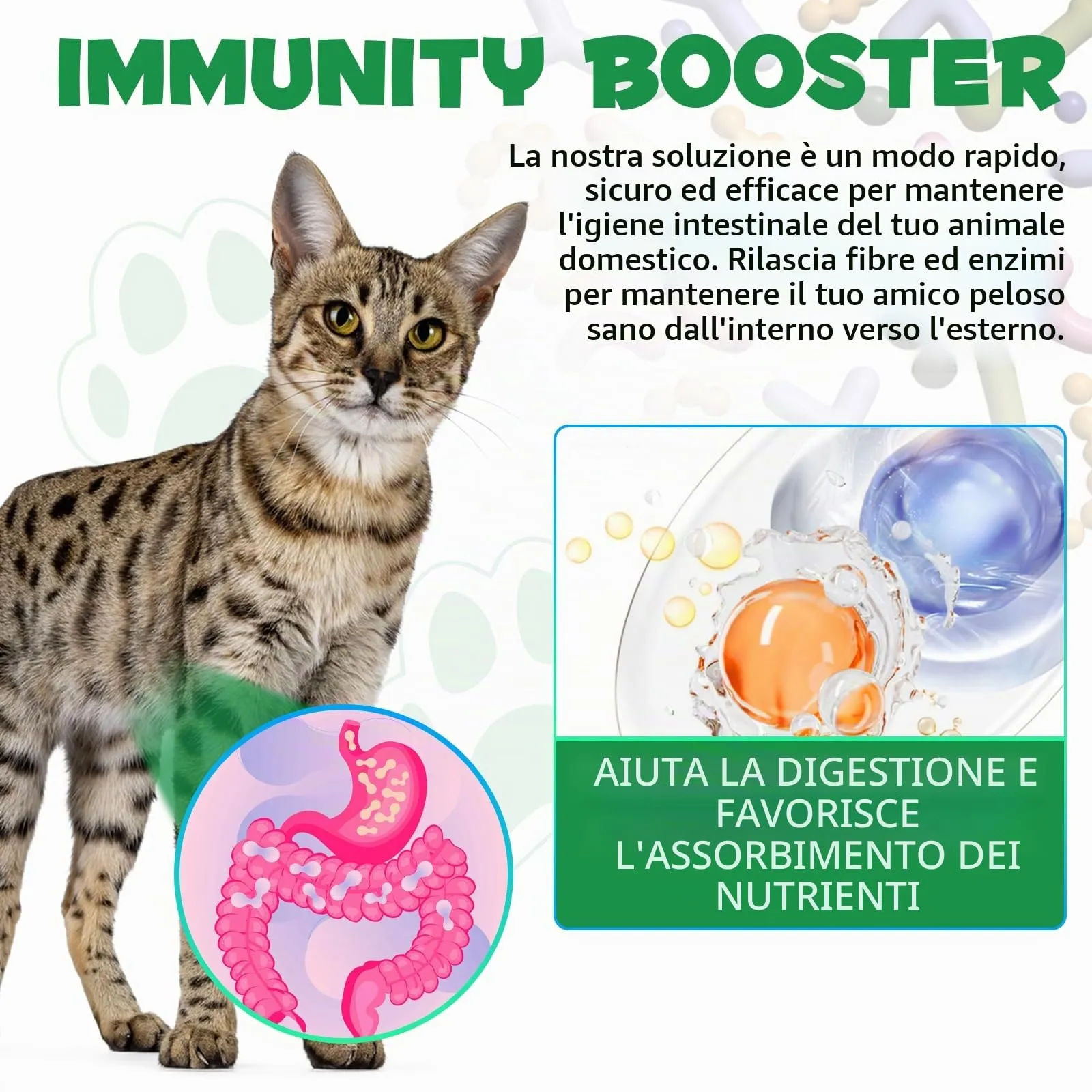 Gocce Di Prevenzione Dei Vermi Probiotici A Base Di Erbe Naturali Per Gatti e Gattini - Supporto A Ampio Spettro, Facile Da Usare -Pulizia A Base Di Erbe Per Cani,Supporto Digestivo Per Tutte Le Razze - immagine 6