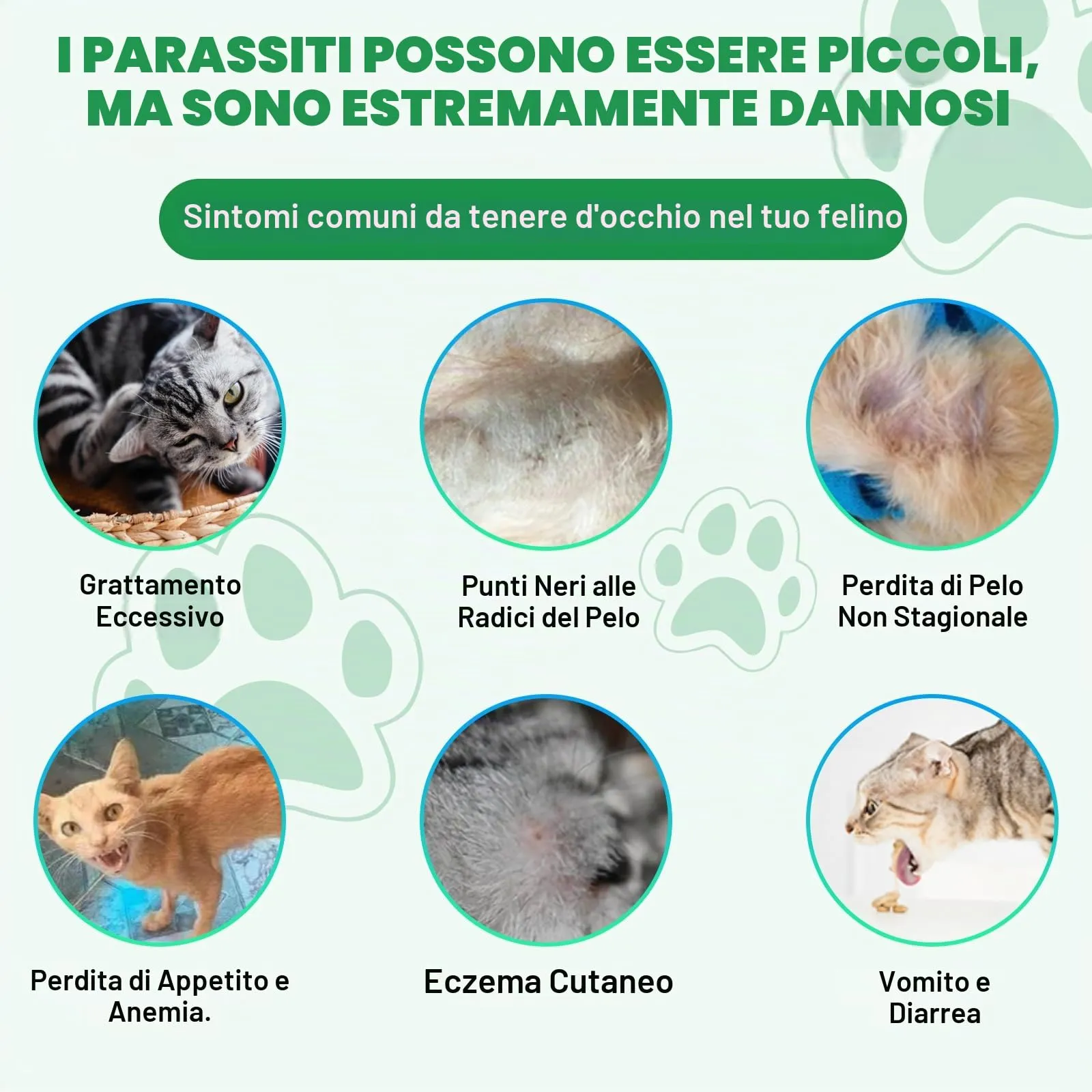 Gocce Di Prevenzione Dei Vermi Probiotici A Base Di Erbe Naturali Per Gatti e Gattini - Supporto A Ampio Spettro, Facile Da Usare -Pulizia A Base Di Erbe Per Cani,Supporto Digestivo Per Tutte Le Razze - immagine 7
