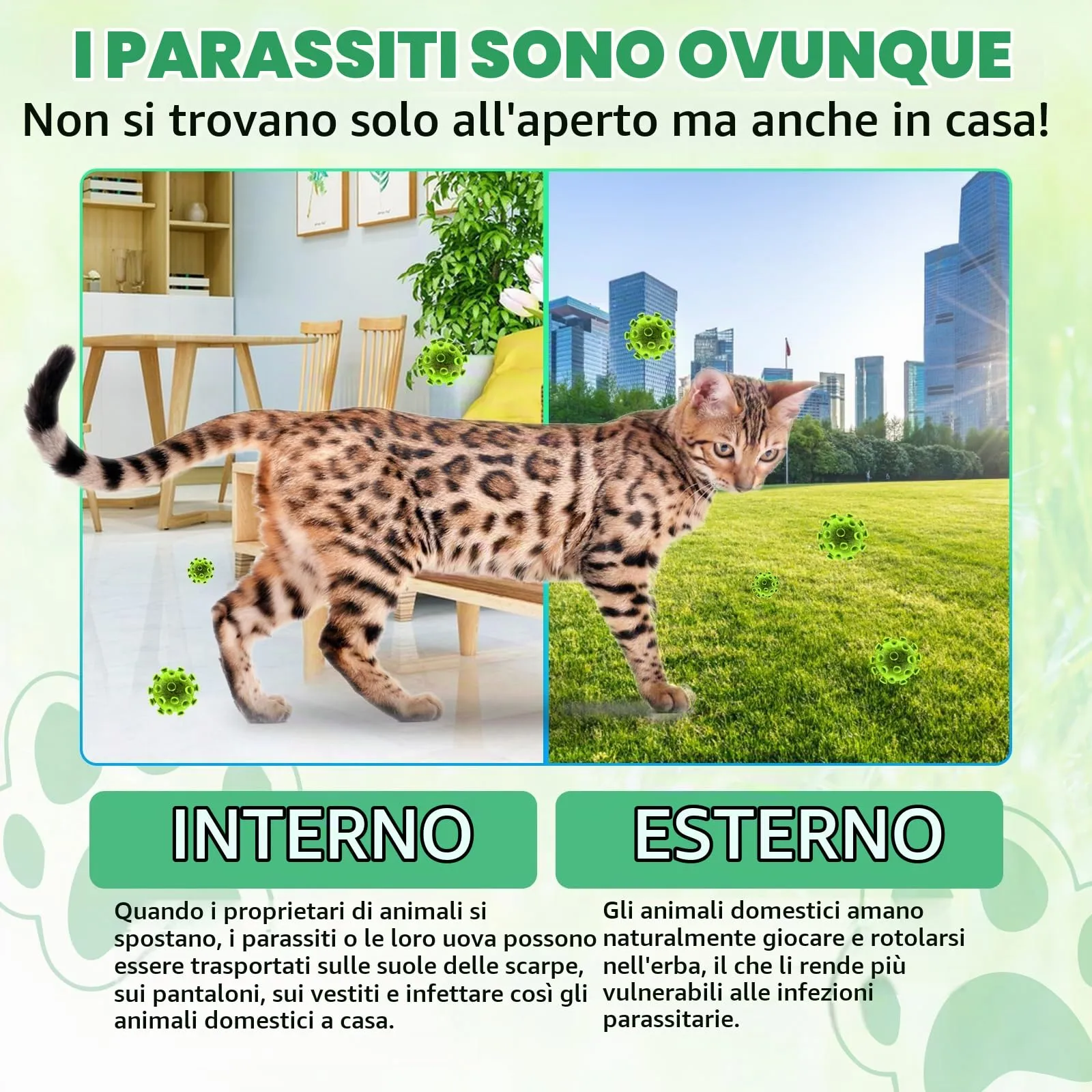 Gocce Di Prevenzione Dei Vermi Probiotici A Base Di Erbe Naturali Per Gatti e Gattini - Supporto A Ampio Spettro, Facile Da Usare -Pulizia A Base Di Erbe Per Cani,Supporto Digestivo Per Tutte Le Razze - immagine 9