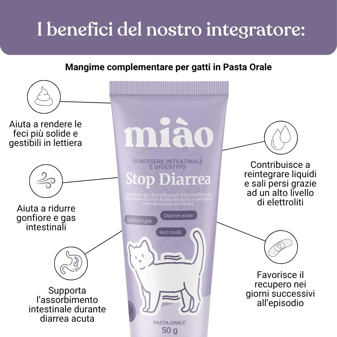 Miào Stop Diarrea Gatto Pasta – Supporto Intestinale per Diarrea Acuta, Feci più Solide, Reintegro Elettroliti e Liquidi, Pancia Gonfia, Facile Somministrazione - immagine 2
