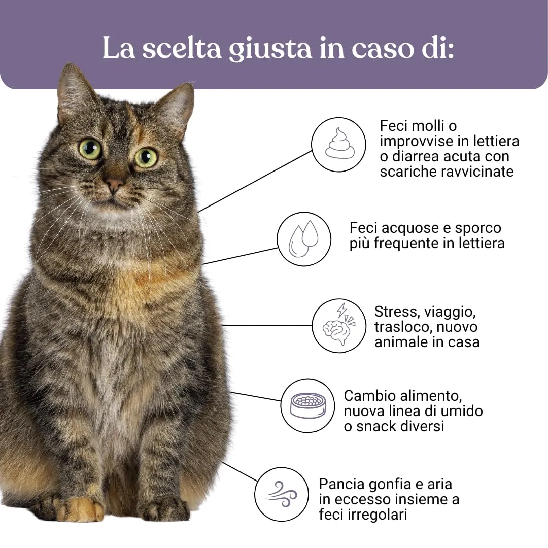 Miào Stop Diarrea Gatto Pasta – Supporto Intestinale per Diarrea Acuta, Feci più Solide, Reintegro Elettroliti e Liquidi, Pancia Gonfia, Facile Somministrazione - immagine 3
