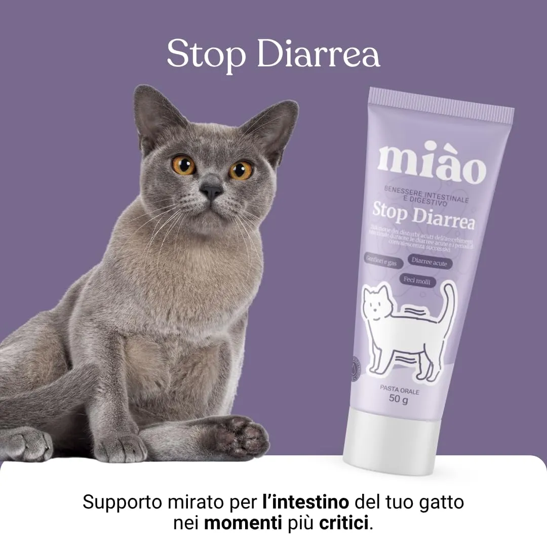 Miào Stop Diarrea Gatto Pasta – Supporto Intestinale per Diarrea Acuta, Feci più Solide, Reintegro Elettroliti e Liquidi, Pancia Gonfia, Facile Somministrazione - immagine 4