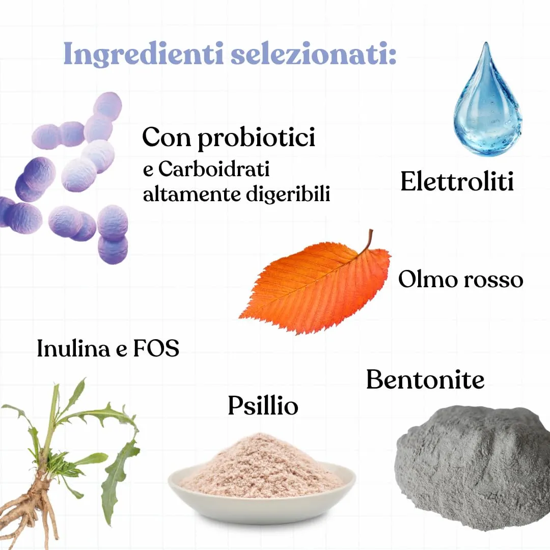 Miào Stop Diarrea Gatto Pasta – Supporto Intestinale per Diarrea Acuta, Feci più Solide, Reintegro Elettroliti e Liquidi, Pancia Gonfia, Facile Somministrazione - immagine 5