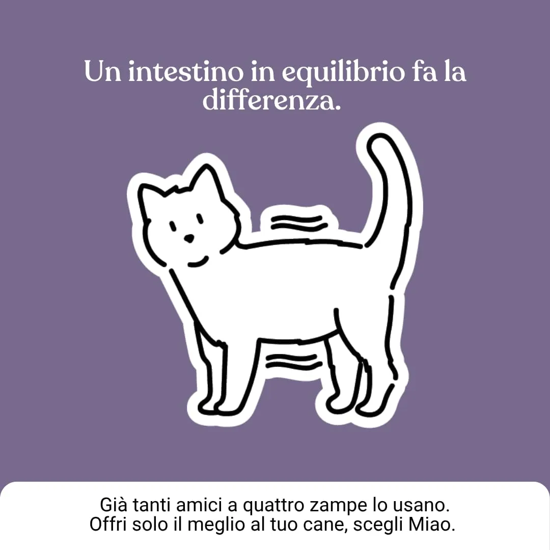 Miào Stop Diarrea Gatto Pasta – Supporto Intestinale per Diarrea Acuta, Feci più Solide, Reintegro Elettroliti e Liquidi, Pancia Gonfia, Facile Somministrazione - immagine 9