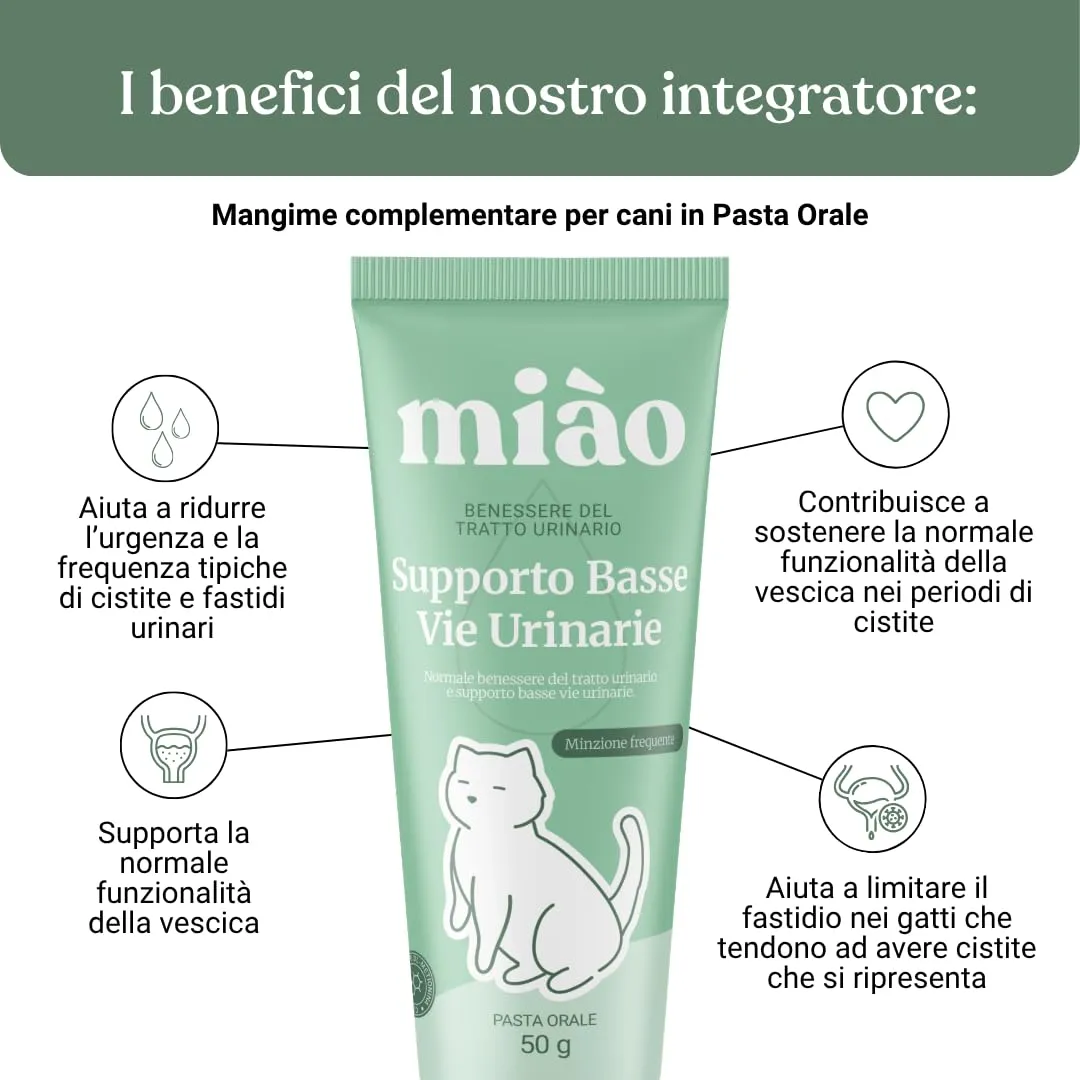 Miào Supporto Basse Vie Urinarie Gatto Pasta – Aiuto per Cistite, Minzione Frequente, Stimolo Continuo, Benessere Vescica, Facile Somministrazione - immagine 2