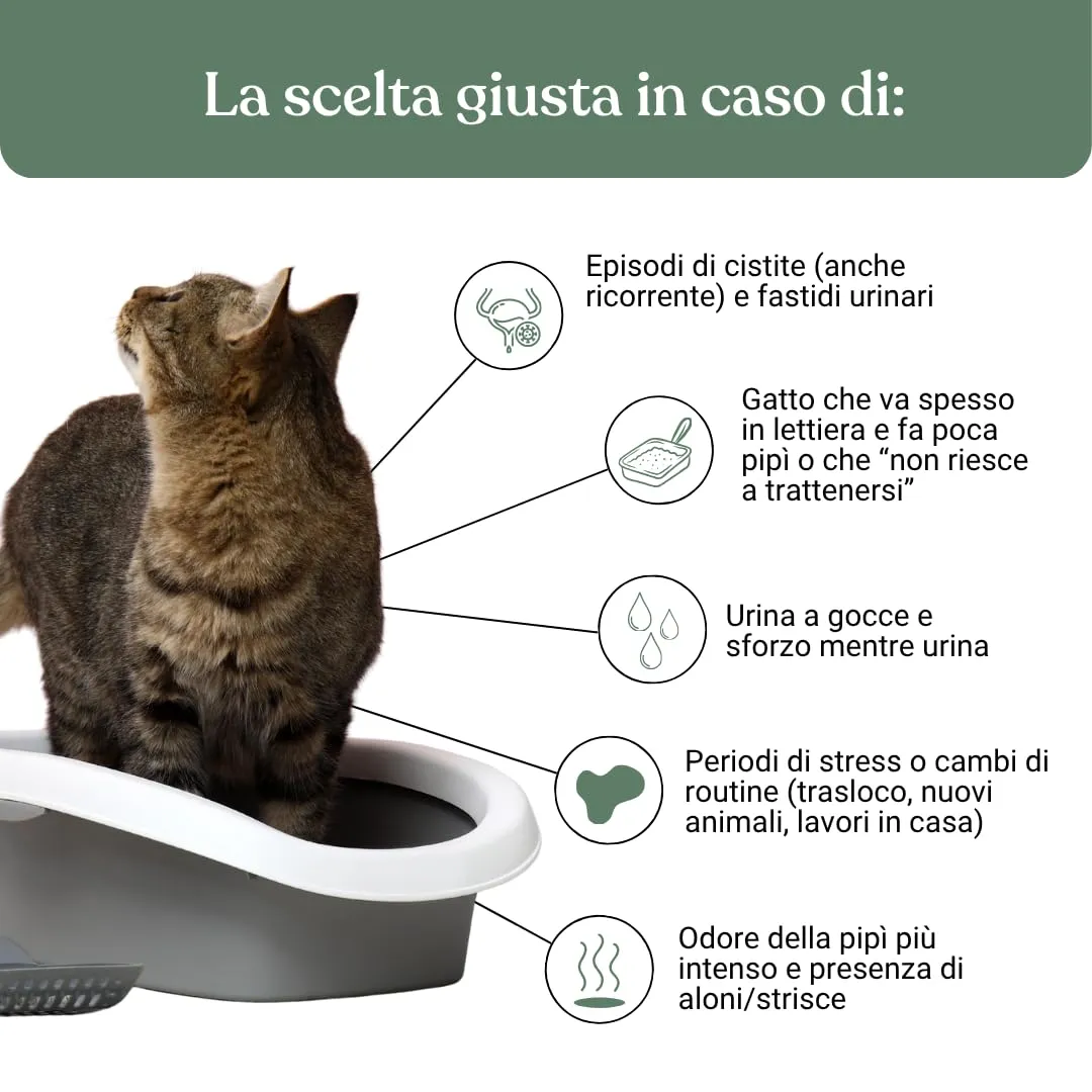 Miào Supporto Basse Vie Urinarie Gatto Pasta – Aiuto per Cistite, Minzione Frequente, Stimolo Continuo, Benessere Vescica, Facile Somministrazione - immagine 3
