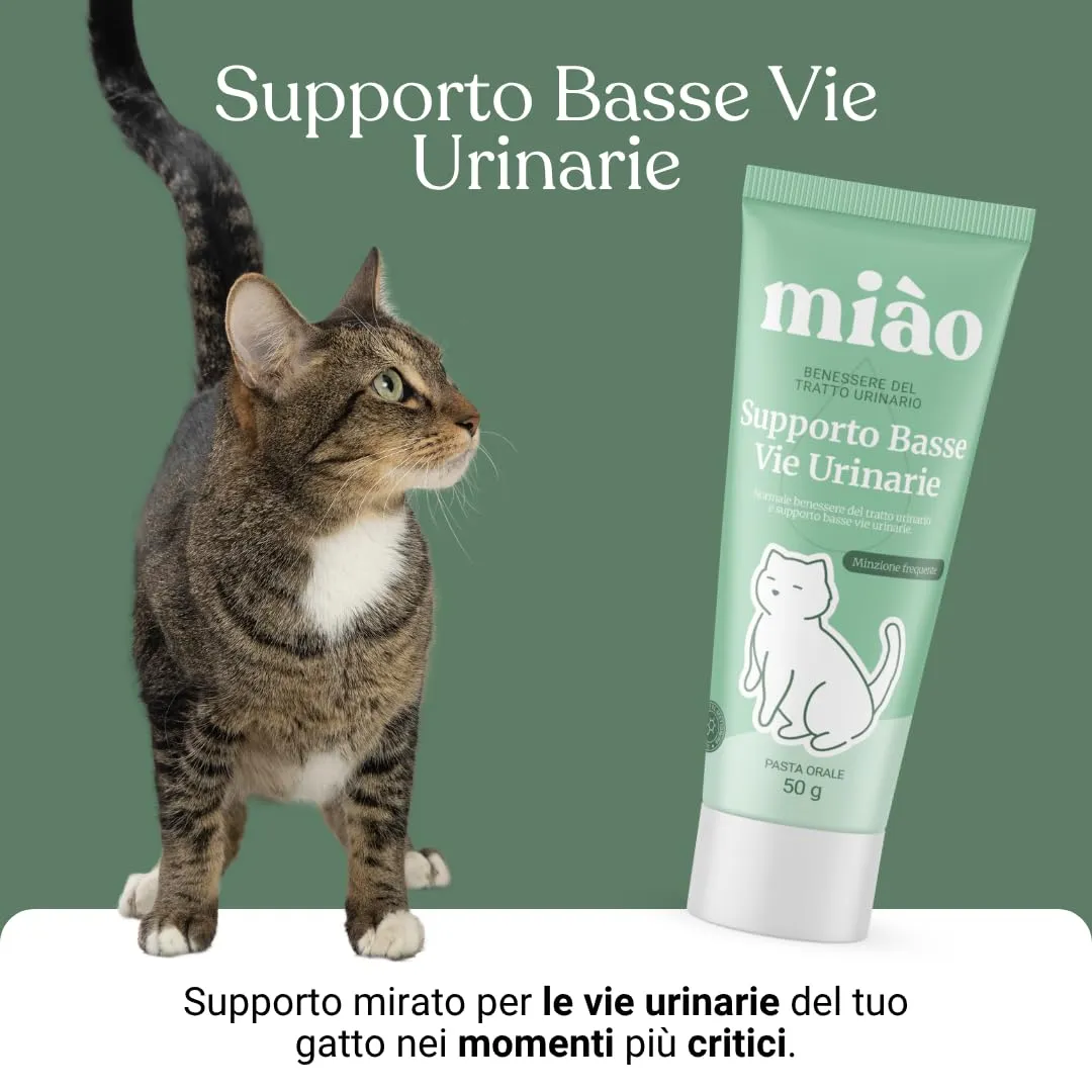 Miào Supporto Basse Vie Urinarie Gatto Pasta – Aiuto per Cistite, Minzione Frequente, Stimolo Continuo, Benessere Vescica, Facile Somministrazione - immagine 5