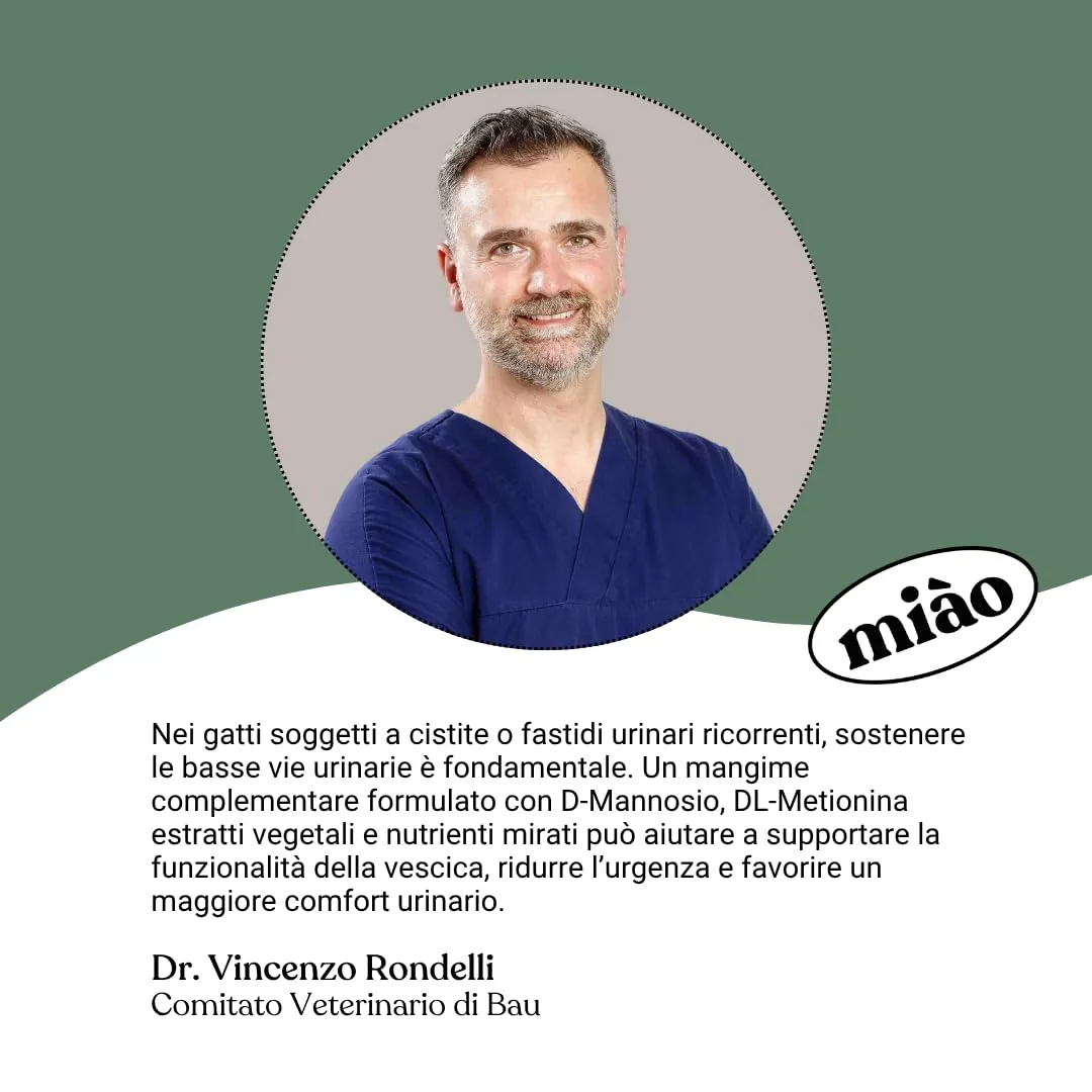 Miào Supporto Basse Vie Urinarie Gatto Pasta – Aiuto per Cistite, Minzione Frequente, Stimolo Continuo, Benessere Vescica, Facile Somministrazione - immagine 7