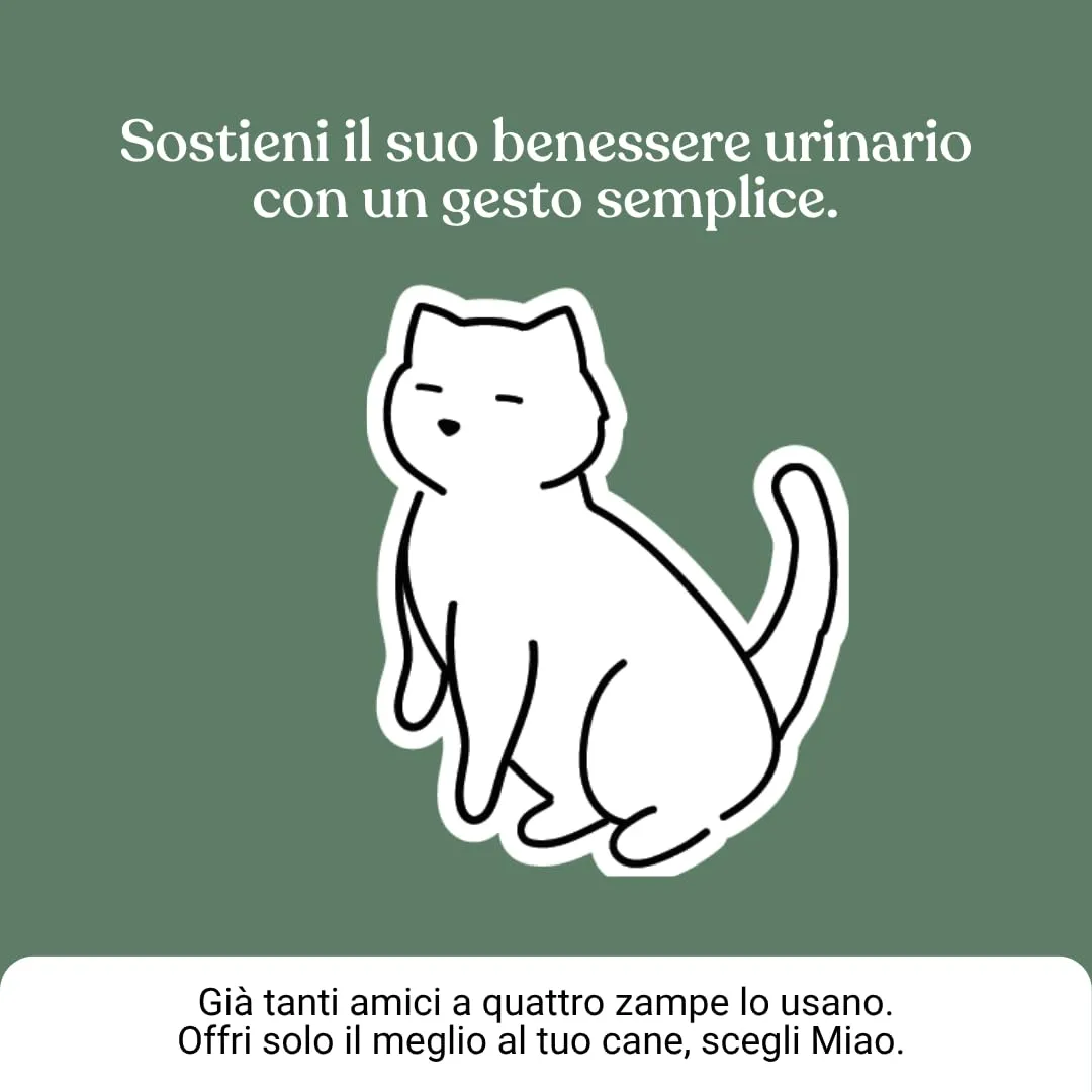 Miào Supporto Basse Vie Urinarie Gatto Pasta – Aiuto per Cistite, Minzione Frequente, Stimolo Continuo, Benessere Vescica, Facile Somministrazione - immagine 9