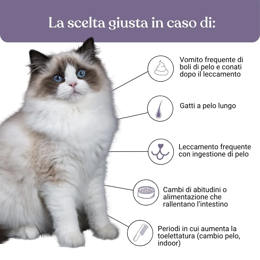 Miào Stop Boli di Pelo Gatto Pasta – Supporto Intestinale per Eliminare Boli di Pelo, Riduce Rigurgiti con Fibre e Psillio, Pasta al Malto per Gatti Bolo di Pelo - immagine 3
