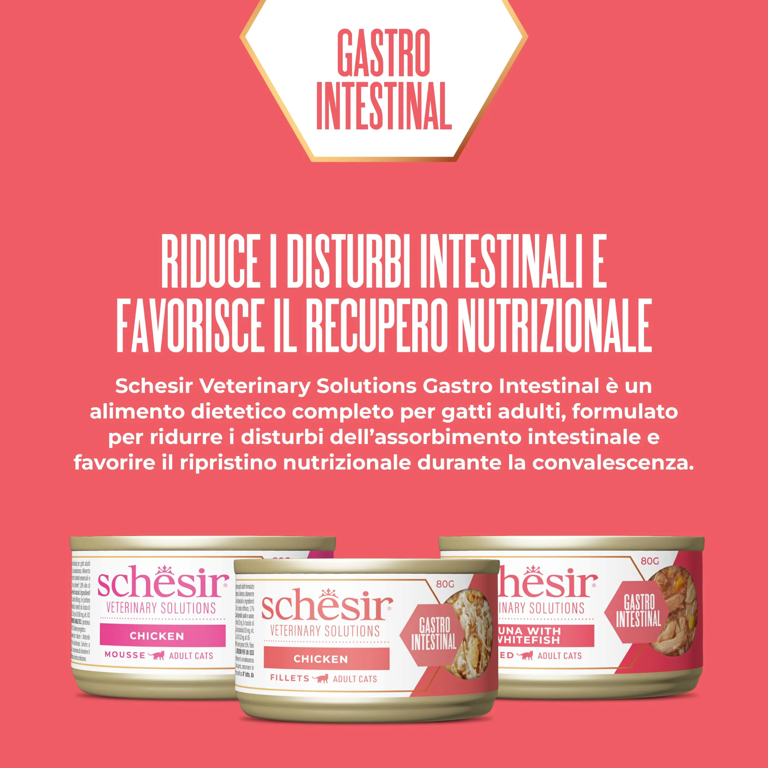 Schesir Veterinary Solutions Gastro Intestinal, Mousse al Pollo, Alimento Umido Dietetico per Gatti Adulti, Supporto Digestione e Convalescenza, 8 x 80 g - immagine 2