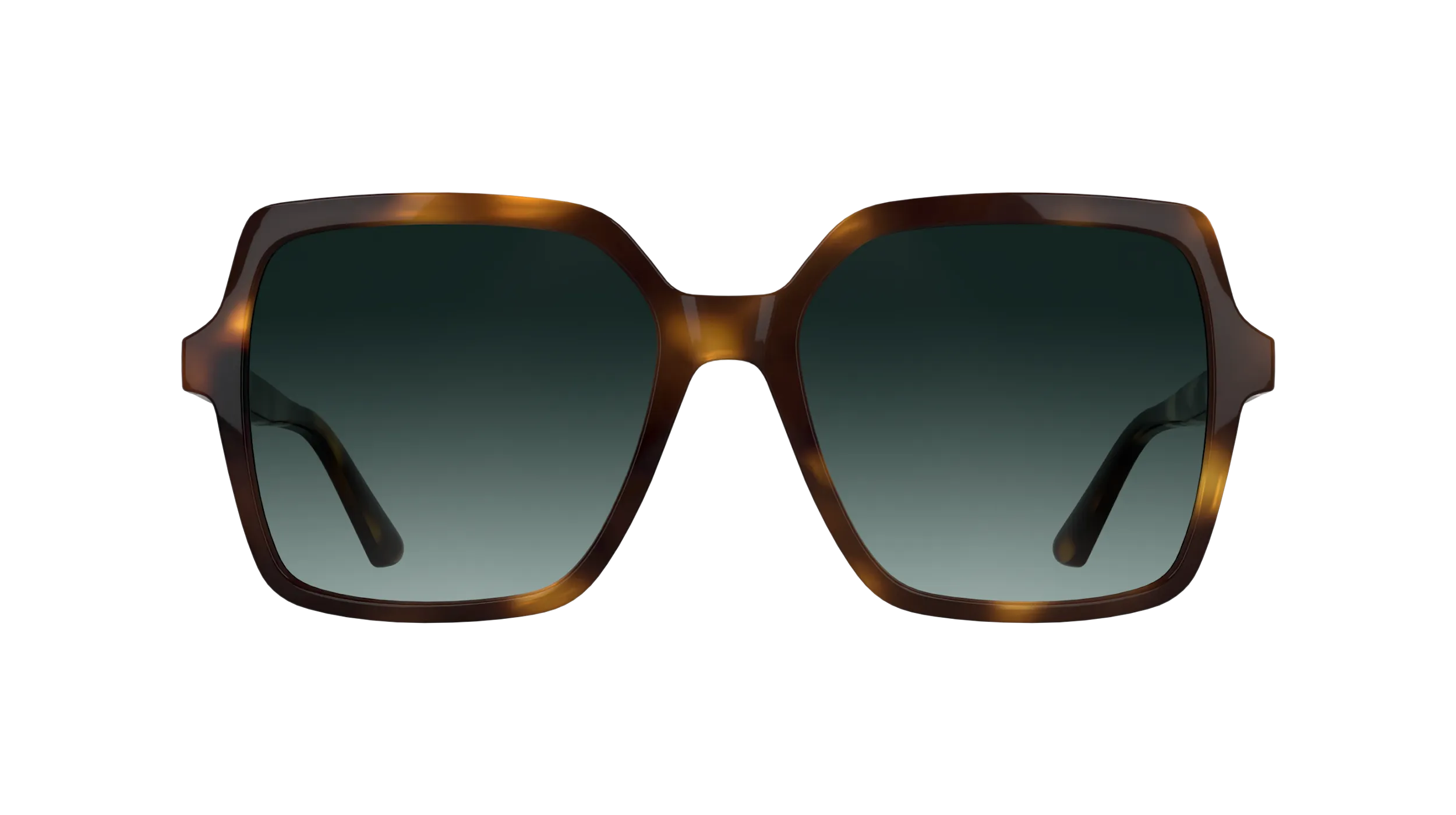 Calvin Klein CK25537S 235 Occhiali da sole Bio-iniettato Havana Verde / Petrolio Farfalla Normale - immagine 2