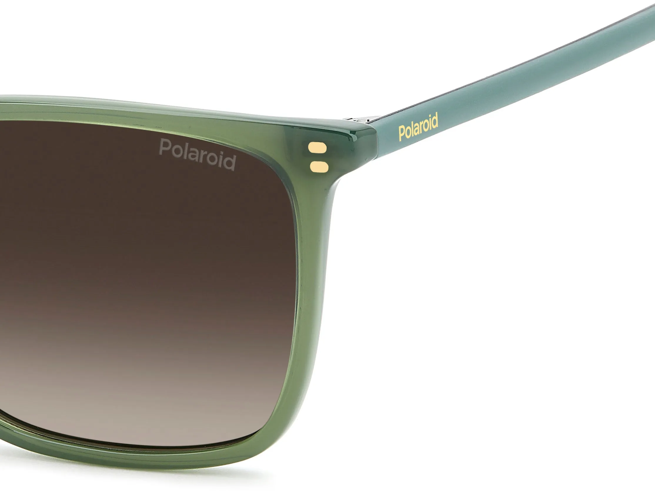 Polaroid Polaroid PLD 4207/S/X 1ED/LA Occhiali da sole - immagine 4
