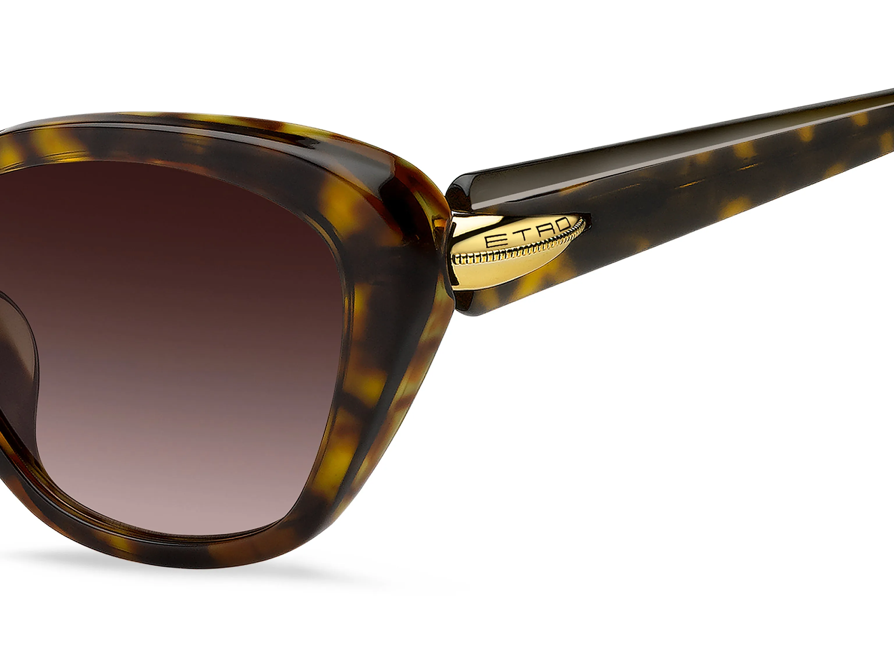 ETRO ETRO ETRO 0133/F/S 086/HA Occhiali da sole - immagine 3