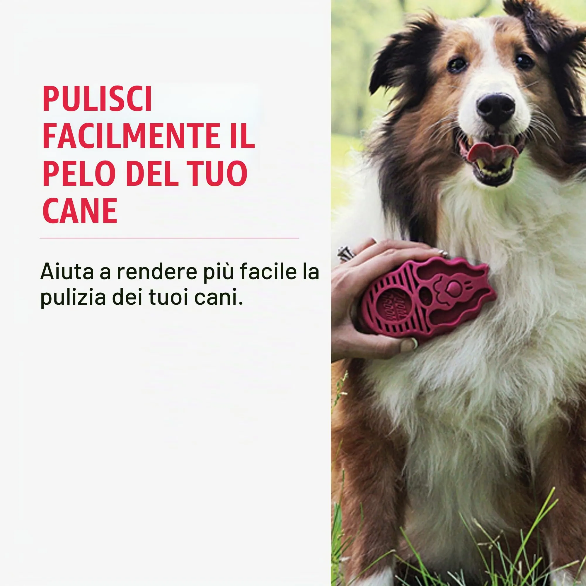 KONG - ZoomGroom™ rosso - Spazzola per cani per la toelettatura e il bagno - Taglia L - immagine 2