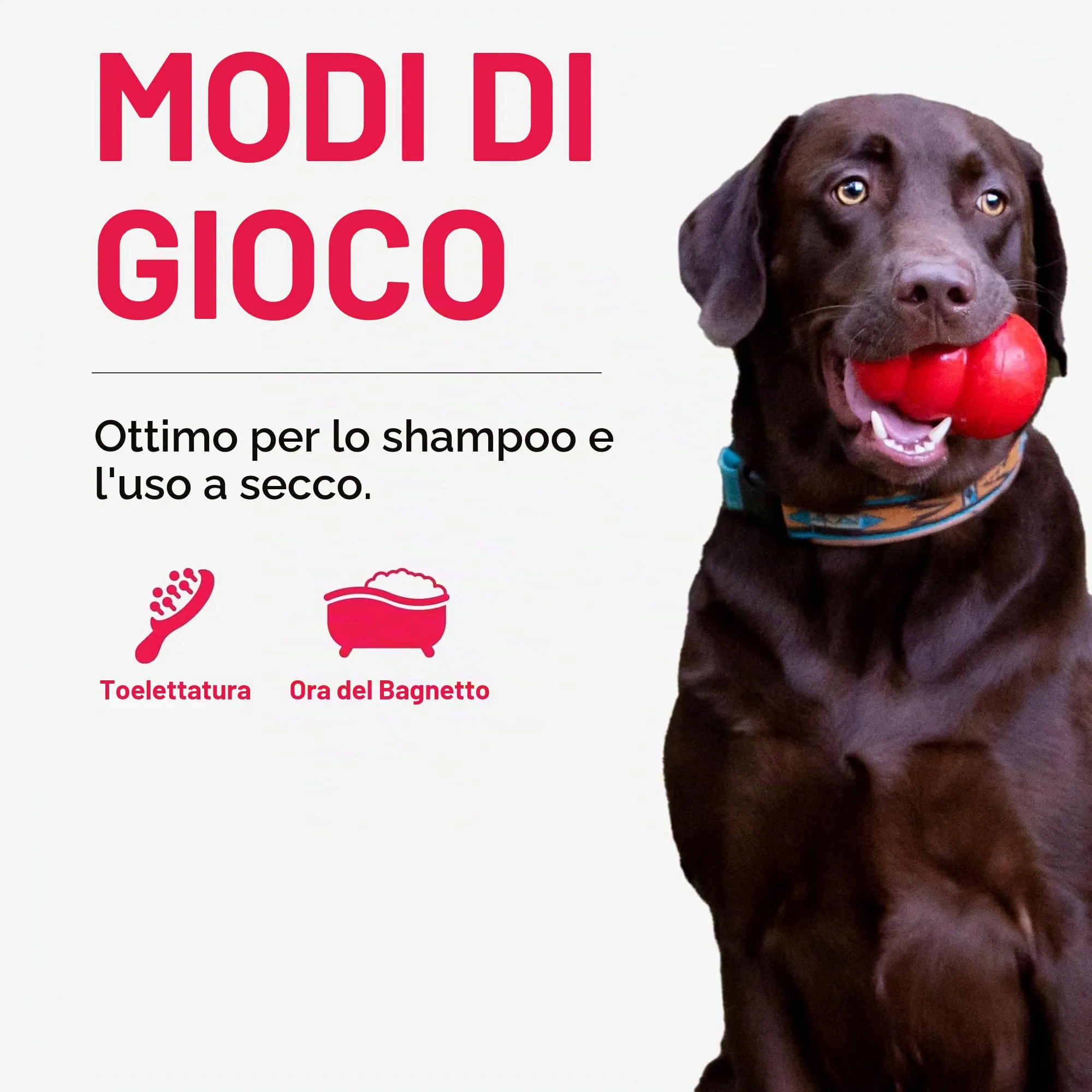 KONG - ZoomGroom™ rosso - Spazzola per cani per la toelettatura e il bagno - Taglia L - immagine 4