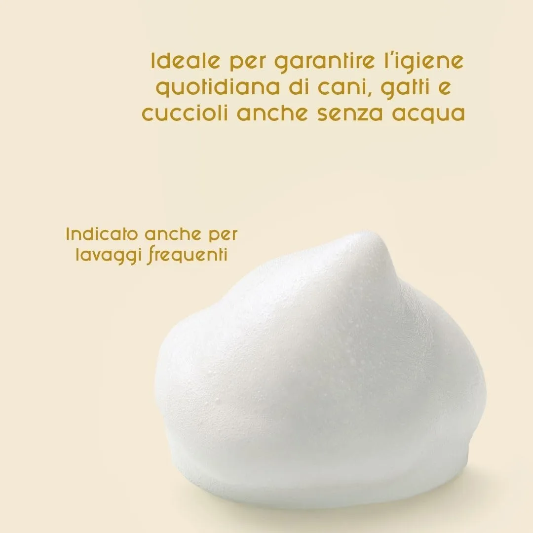 Inodorina Shampoo secco per cani, gatti e cuccioli (300 ml, Profumo di latte e vaniglia) – Mousse ad azione emolliente e detergente – Rispetta il pH naturale, ideale per lavaggi frequenti - immagine 3