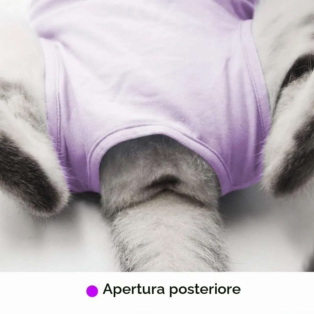 LIANZIMAU Body Gatto Cane Post Operatorio E-Collar Alternativa Dopo Un Intervento Chirurgico, Wear Tuta - immagine 4