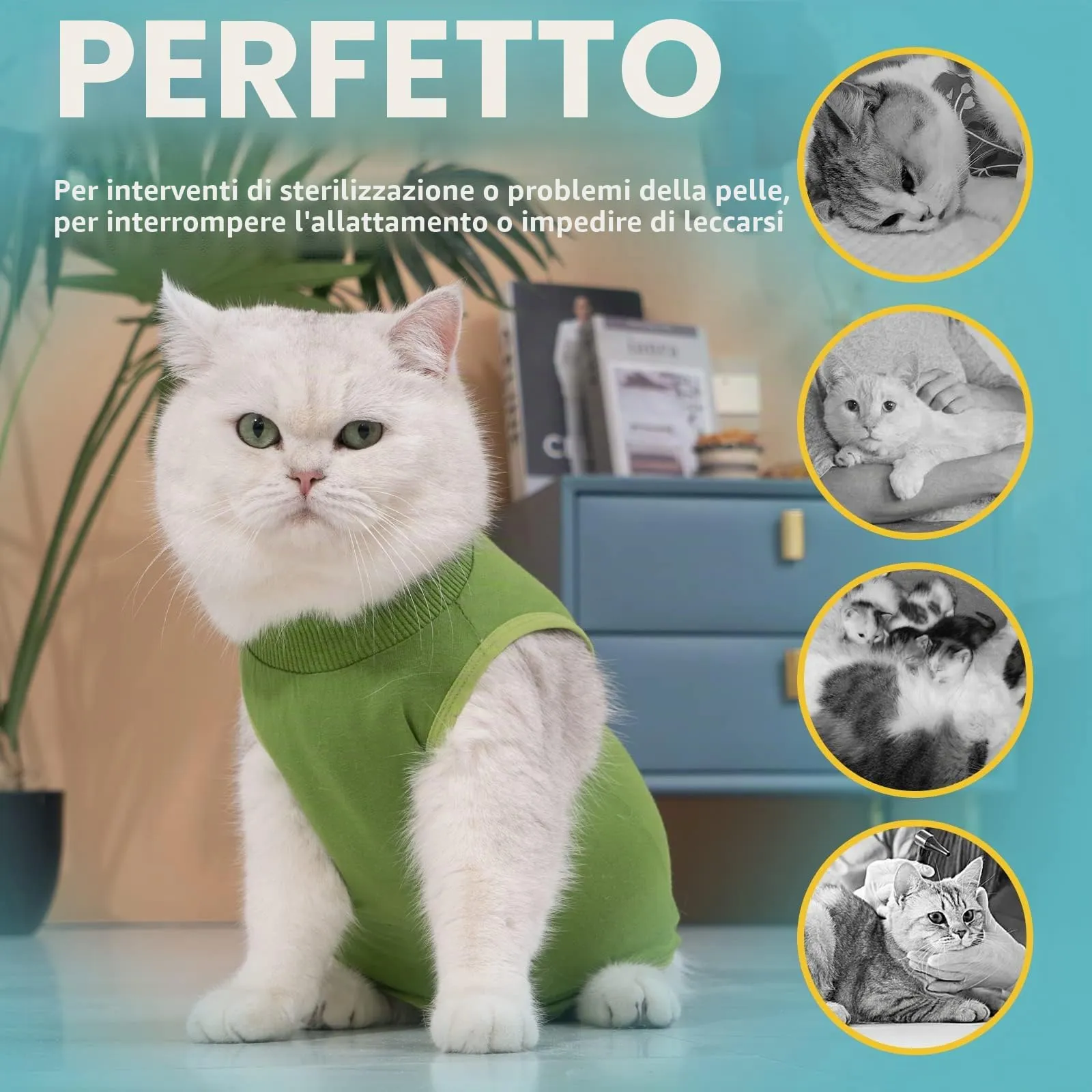 Avont Tuta da Recupero per Gatti, Body Gatto Post Operatorio Sterilizzazione, Cat Recovery Suit, Vestito Gatto per Impedire Leccare Ferita Addominale Dopo l'intervento Chirurgico –Verde(L) - immagine 4
