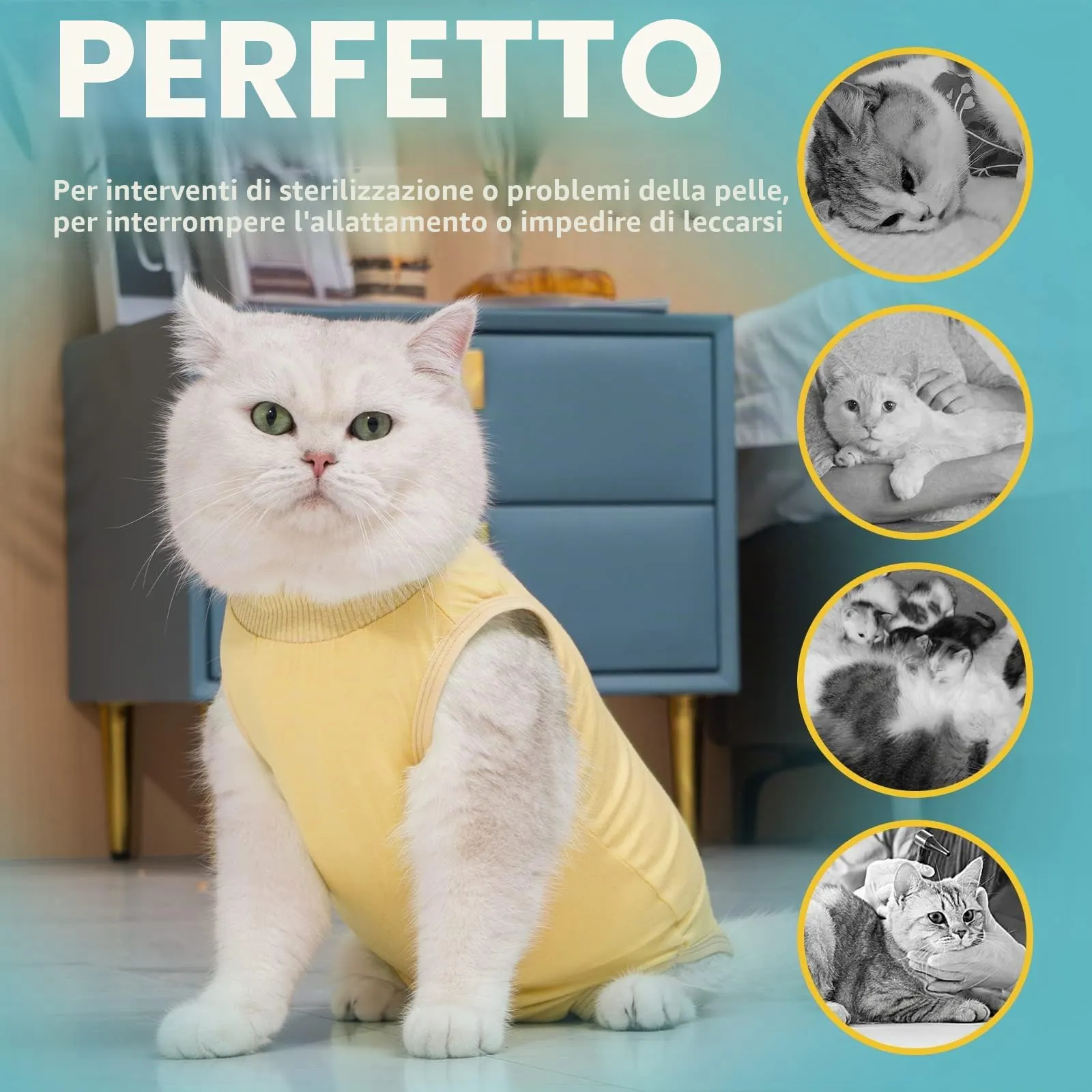 Avont Tuta da Recupero per Gatti, Body Gatto Post Operatorio Sterilizzazione, Cat Recovery Suit, Vestito Gatto per Impedire Leccare Ferita Addominale Dopo l'intervento Chirurgico –Giallo(S) - immagine 4