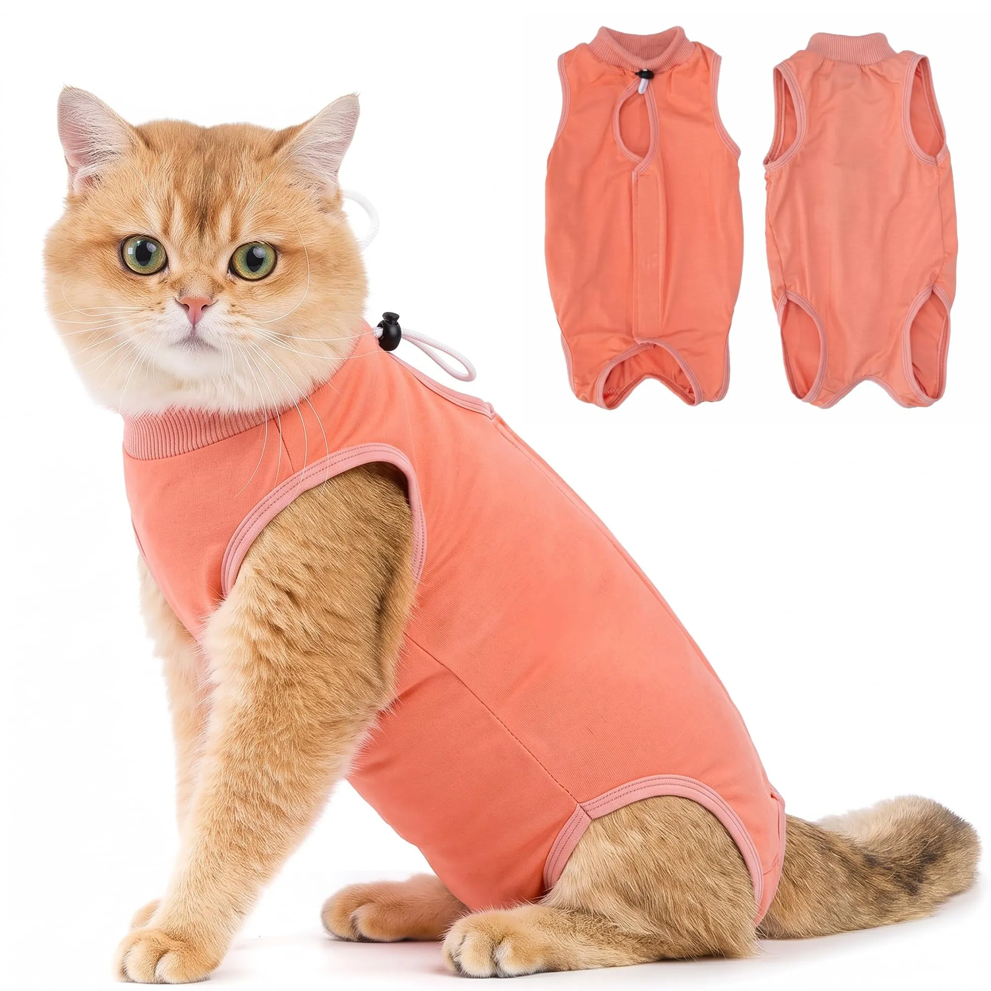 Avont Tuta da Recupero per Gatti, Body Gatto Post Operatorio Sterilizzazione, Cat Recovery Suit, Vestito Gatto per Impedire Leccare Ferita Addominale Dopo l'intervento Chirurgico –Corallo(M) - immagine 1