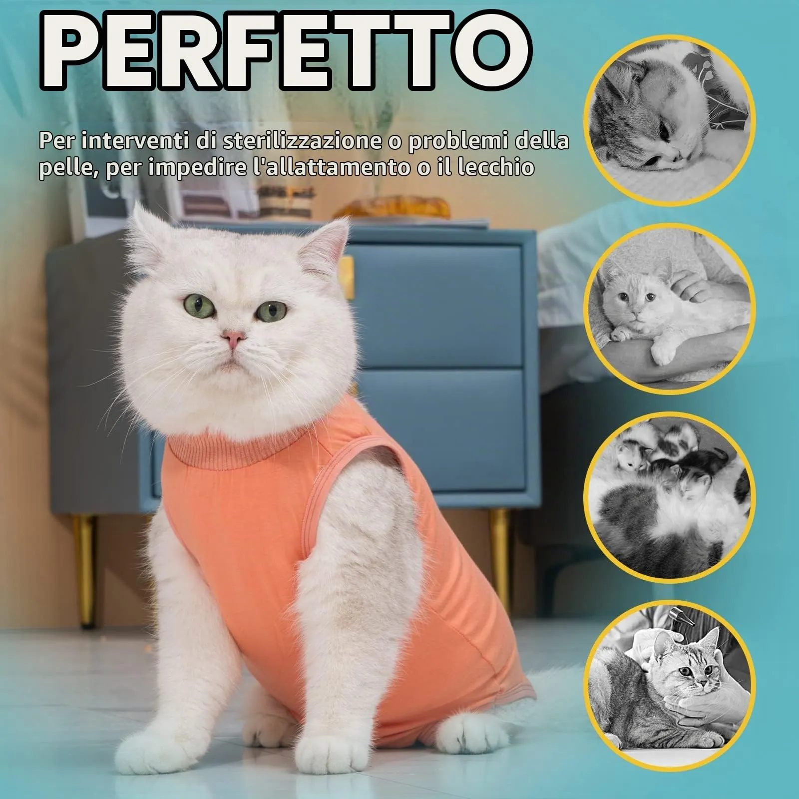 Avont Tuta da Recupero per Gatti, Body Gatto Post Operatorio Sterilizzazione, Cat Recovery Suit, Vestito Gatto per Impedire Leccare Ferita Addominale Dopo l'intervento Chirurgico –Corallo(M) - immagine 4