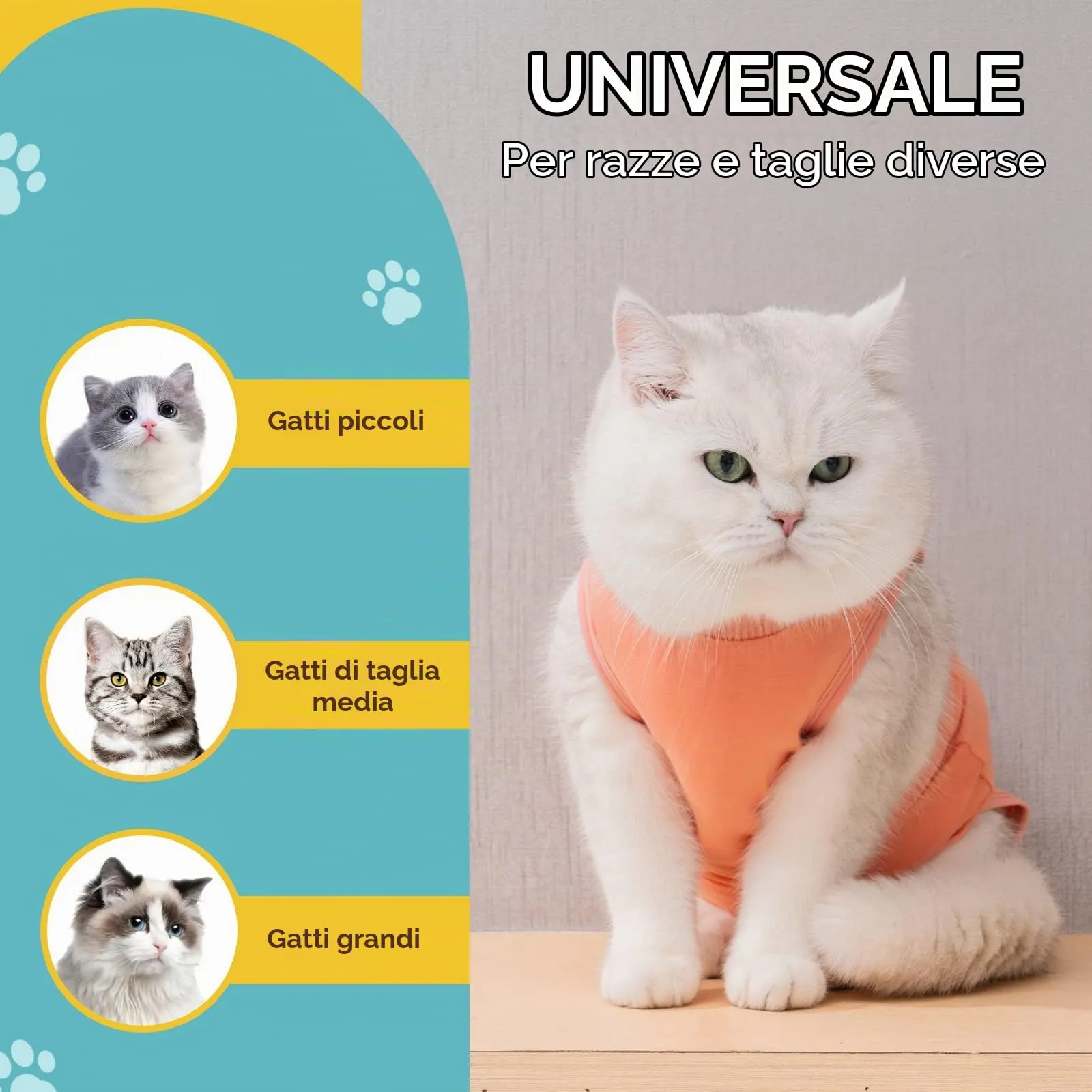 Avont Tuta da Recupero per Gatti, Body Gatto Post Operatorio Sterilizzazione, Cat Recovery Suit, Vestito Gatto per Impedire Leccare Ferita Addominale Dopo l'intervento Chirurgico –Corallo(M) - immagine 5