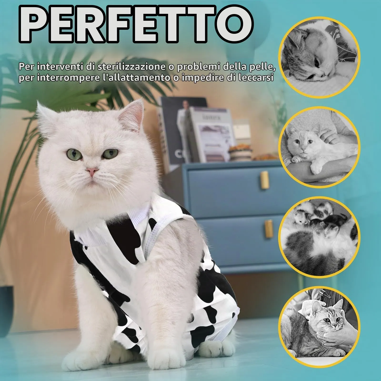 Avont Tuta per il recupero del gatto, tuta per gatti dopo l'intervento chirurgico, alternativa a cono della vergogna, per gatti femmina, protezione post-operatoria o malattie della pelle, mucca (L) - immagine 4