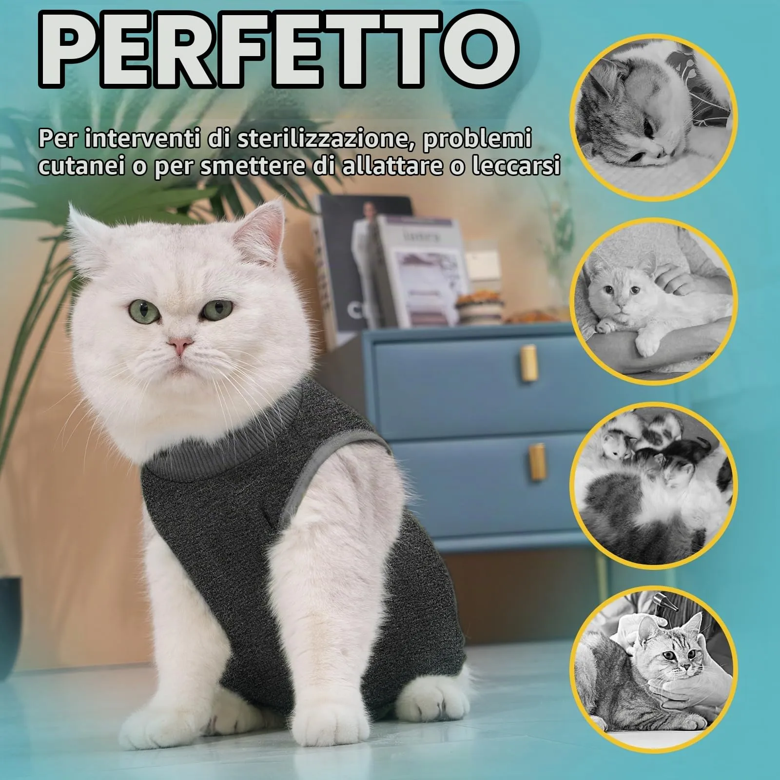 Avont Tuta da Recupero per Gatti Tutina per Gatti dopo l'Intervento con Cono della Vergogna Tuta Chirurgica Alternativa per Gatti Femminili, Post-chirurgia o Malattie della Pelle–Grigio Scuro(S) - immagine 4