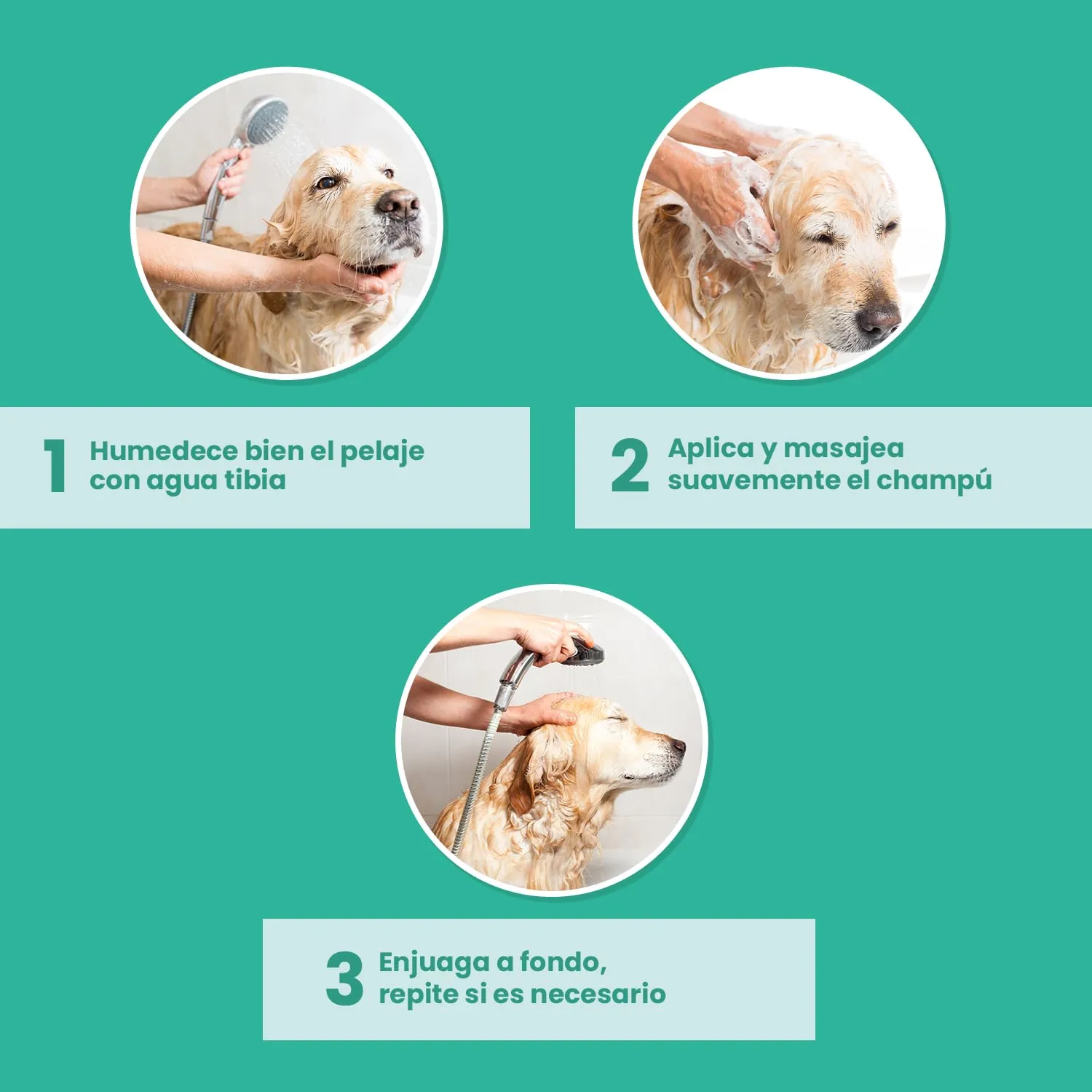 Shampoo per cani e gatti – Shampoo per cani per lucentezza e cura – Ideale per pelo e pelle sensibili – 250 ml - immagine 4