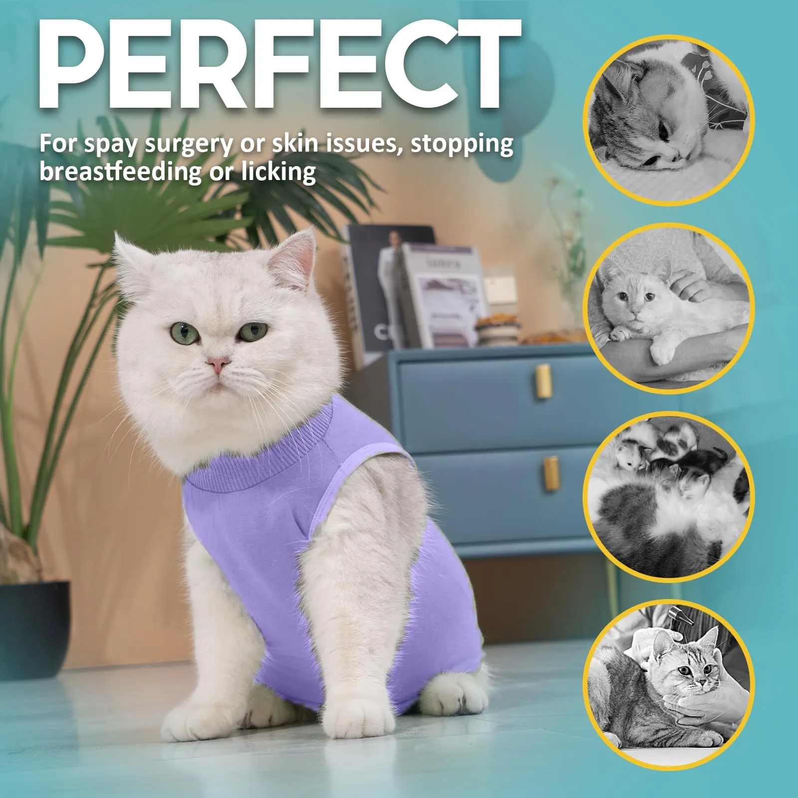 Avont Tuta da Recupero per Gatti, Body Gatto Post Operatorio Sterilizzazione, Cat Recovery Suit, Vestito Gatto per Impedire Leccare Ferita Addominale Dopo l'intervento Chirurgico –Lavanda(L) - immagine 4