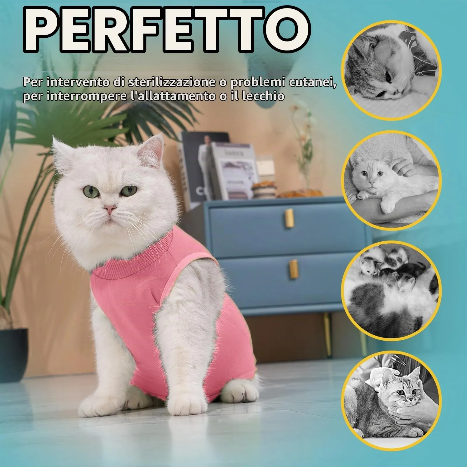 Avont Tuta da Recupero per Gatti, Body Gatto Post Operatorio Sterilizzazione, Cat Recovery Suit, Vestito Gatto per Impedire Leccare Ferita Addominale Dopo l'intervento Chirurgico –Rosa(S) - immagine 6