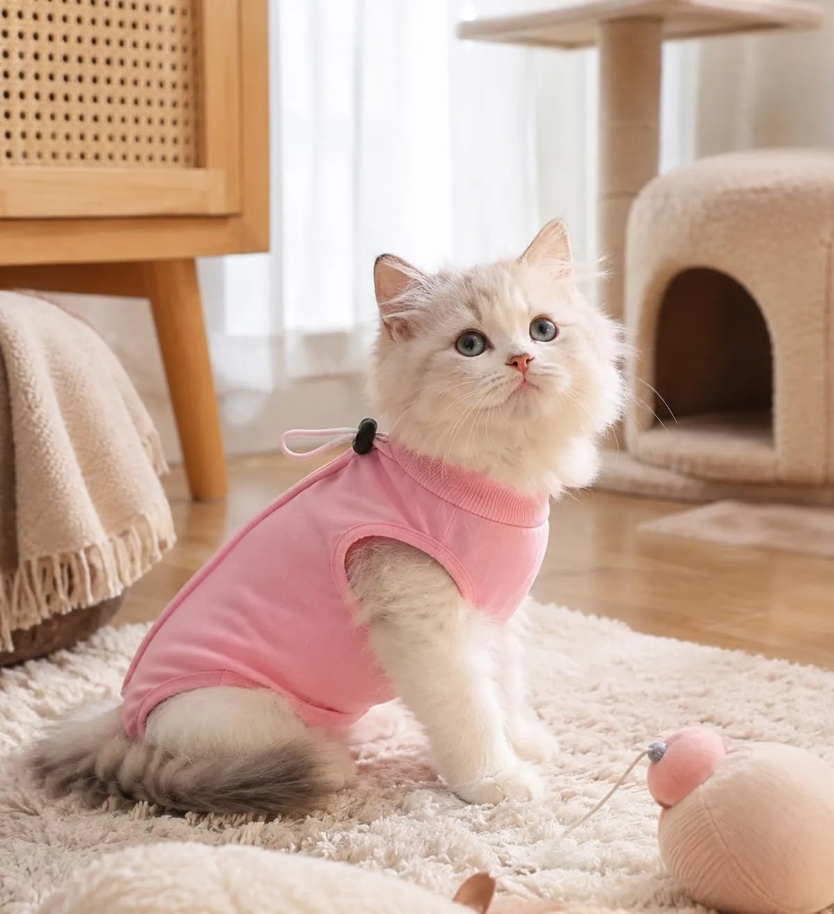 Avont Tuta da Recupero per Gatti, Body Gatto Post Operatorio Sterilizzazione, Cat Recovery Suit, Vestito Gatto per Impedire Leccare Ferita Addominale Dopo l'intervento Chirurgico –Rosa(S) - immagine 7