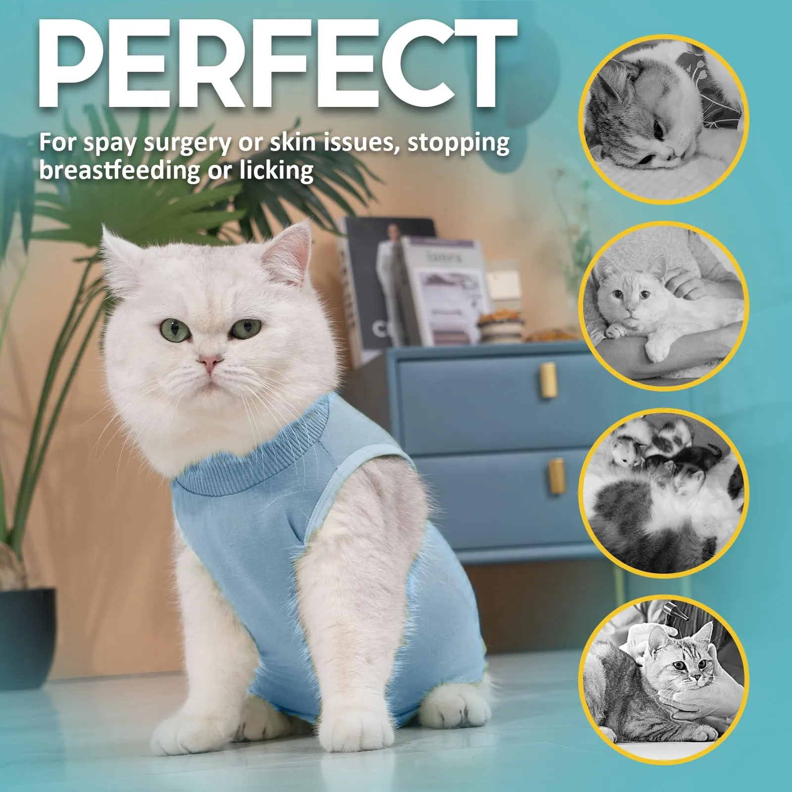 Avont Tuta da Recupero per Gatti, Body Gatto Post Operatorio Sterilizzazione, Cat Recovery Suit, Vestito Gatto per Impedire Leccare Ferita Addominale Dopo l'intervento Chirurgico –Blu(S) - immagine 4
