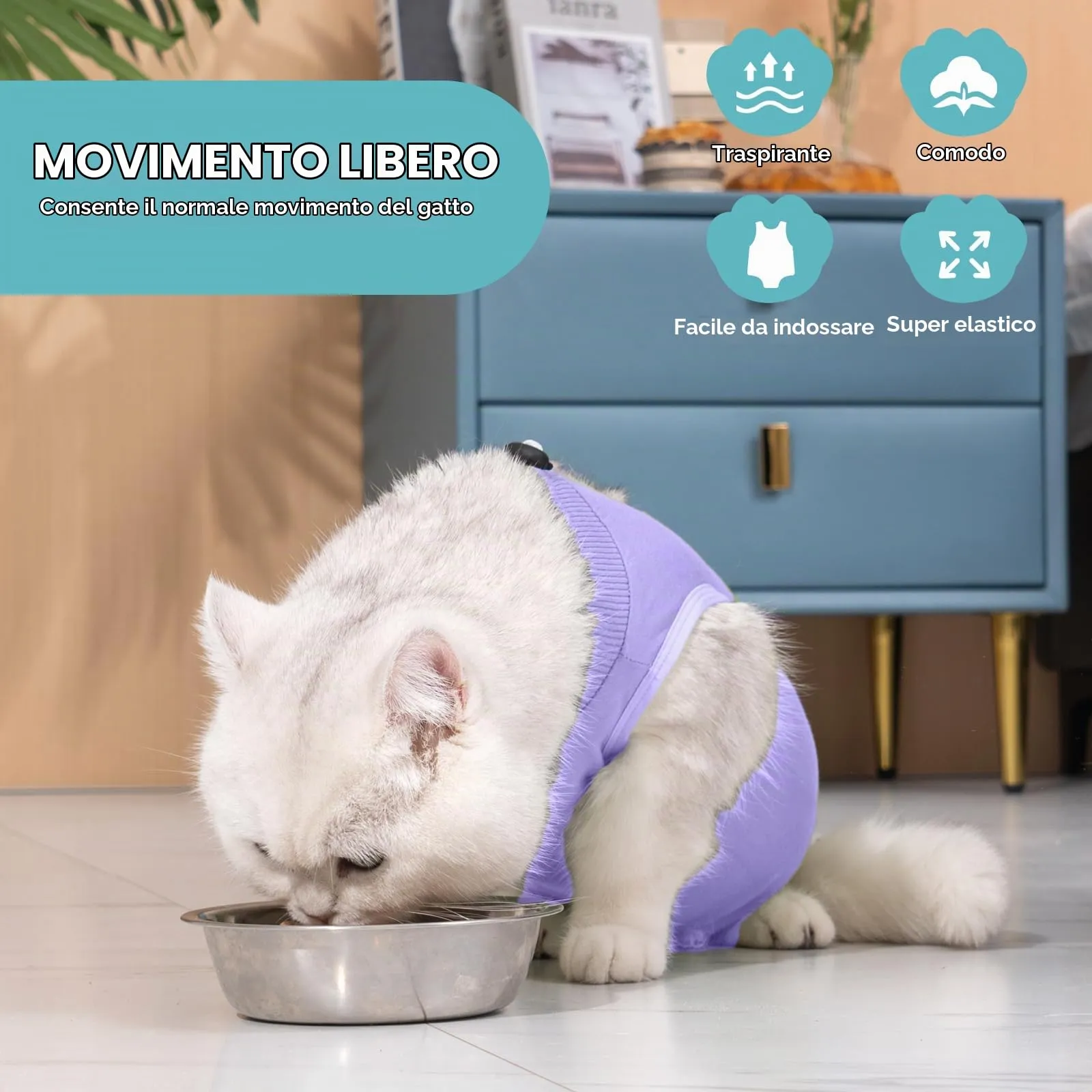 Avont Tuta da Recupero per Gatti, Body Gatto Post Operatorio Sterilizzazione, Cat Recovery Suit, Vestito Gatto per Impedire Leccare Ferita Addominale Dopo l'intervento Chirurgico –Lavanda(M) - immagine 3