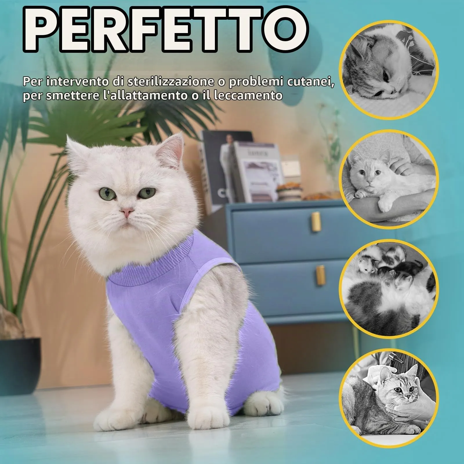 Avont Tuta da Recupero per Gatti, Body Gatto Post Operatorio Sterilizzazione, Cat Recovery Suit, Vestito Gatto per Impedire Leccare Ferita Addominale Dopo l'intervento Chirurgico –Lavanda(M) - immagine 4