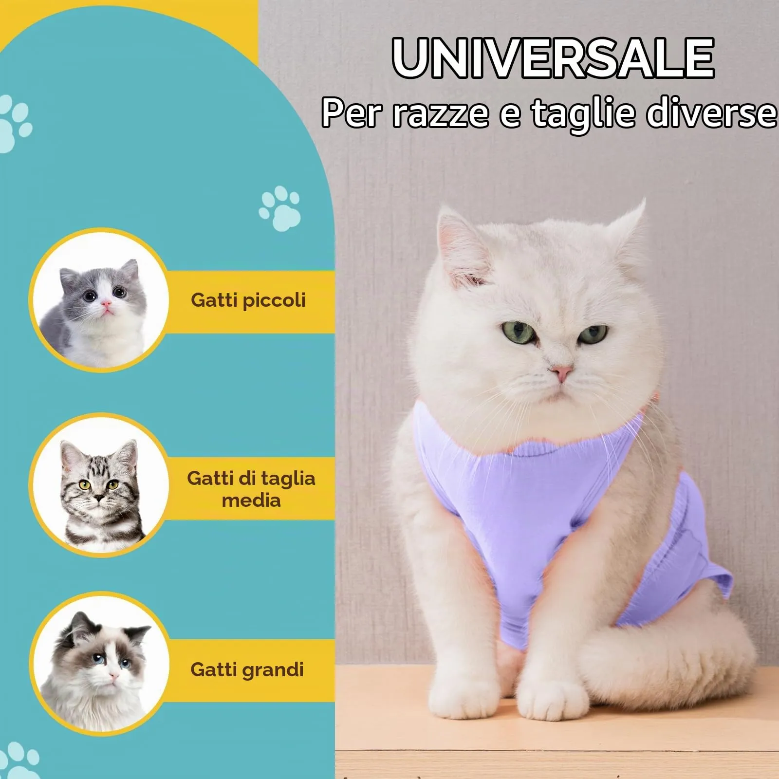 Avont Tuta da Recupero per Gatti, Body Gatto Post Operatorio Sterilizzazione, Cat Recovery Suit, Vestito Gatto per Impedire Leccare Ferita Addominale Dopo l'intervento Chirurgico –Lavanda(M) - immagine 5