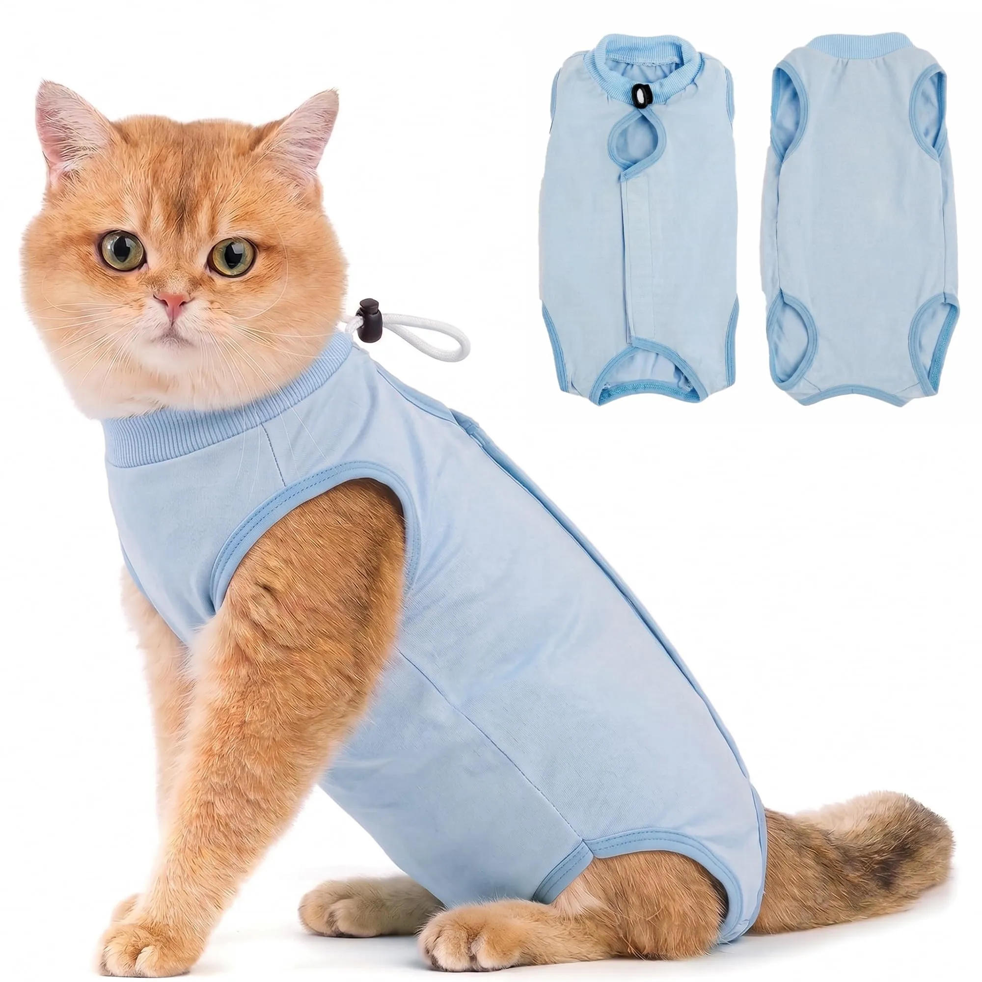 Avont Tuta da Recupero per Gatti, Body Gatto Post Operatorio Sterilizzazione, Cat Recovery Suit, Vestito Gatto per Impedire Leccare Ferita Addominale Dopo l'intervento Chirurgico –Blu(M) - immagine 1