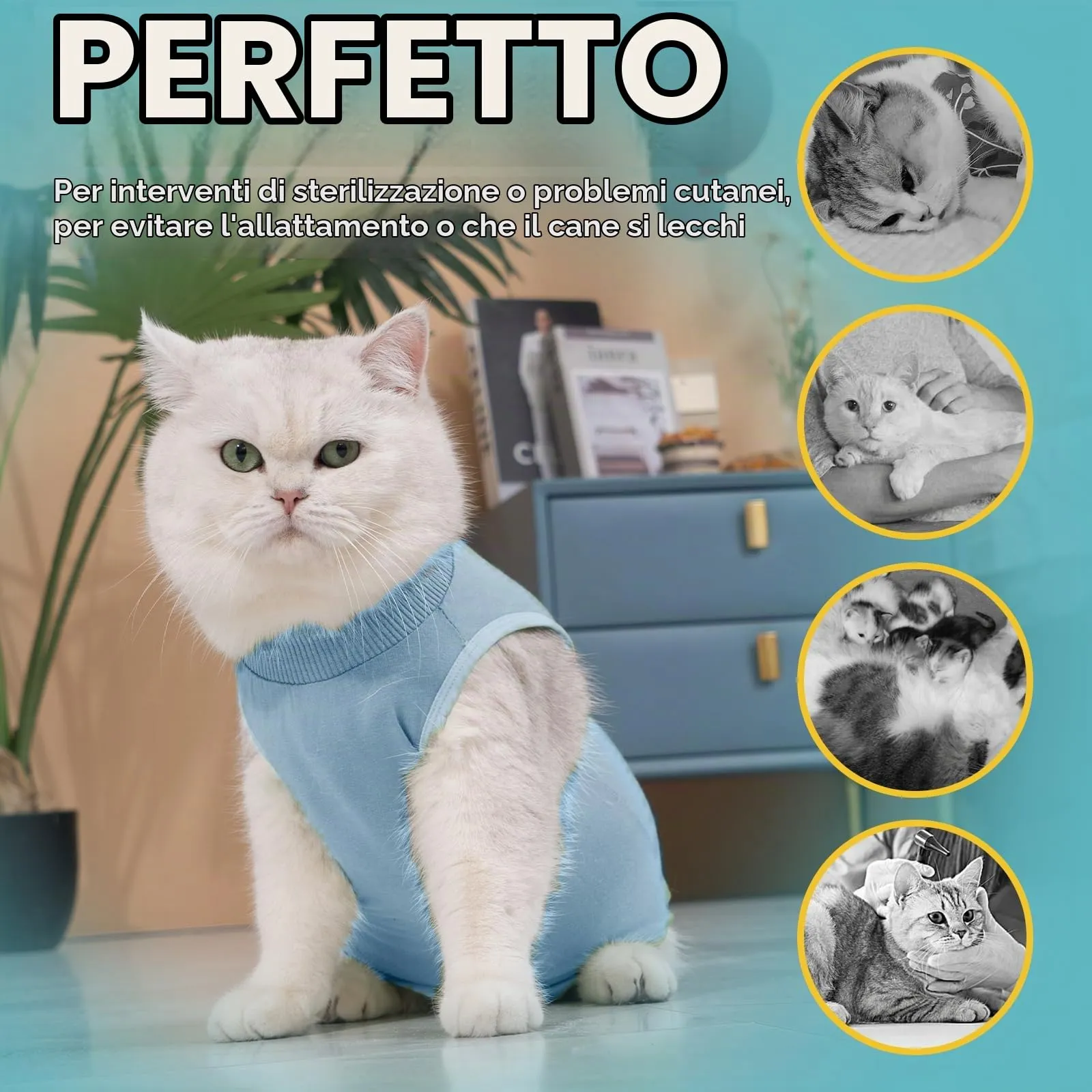 Avont Tuta da Recupero per Gatti, Body Gatto Post Operatorio Sterilizzazione, Cat Recovery Suit, Vestito Gatto per Impedire Leccare Ferita Addominale Dopo l'intervento Chirurgico –Blu(M) - immagine 4