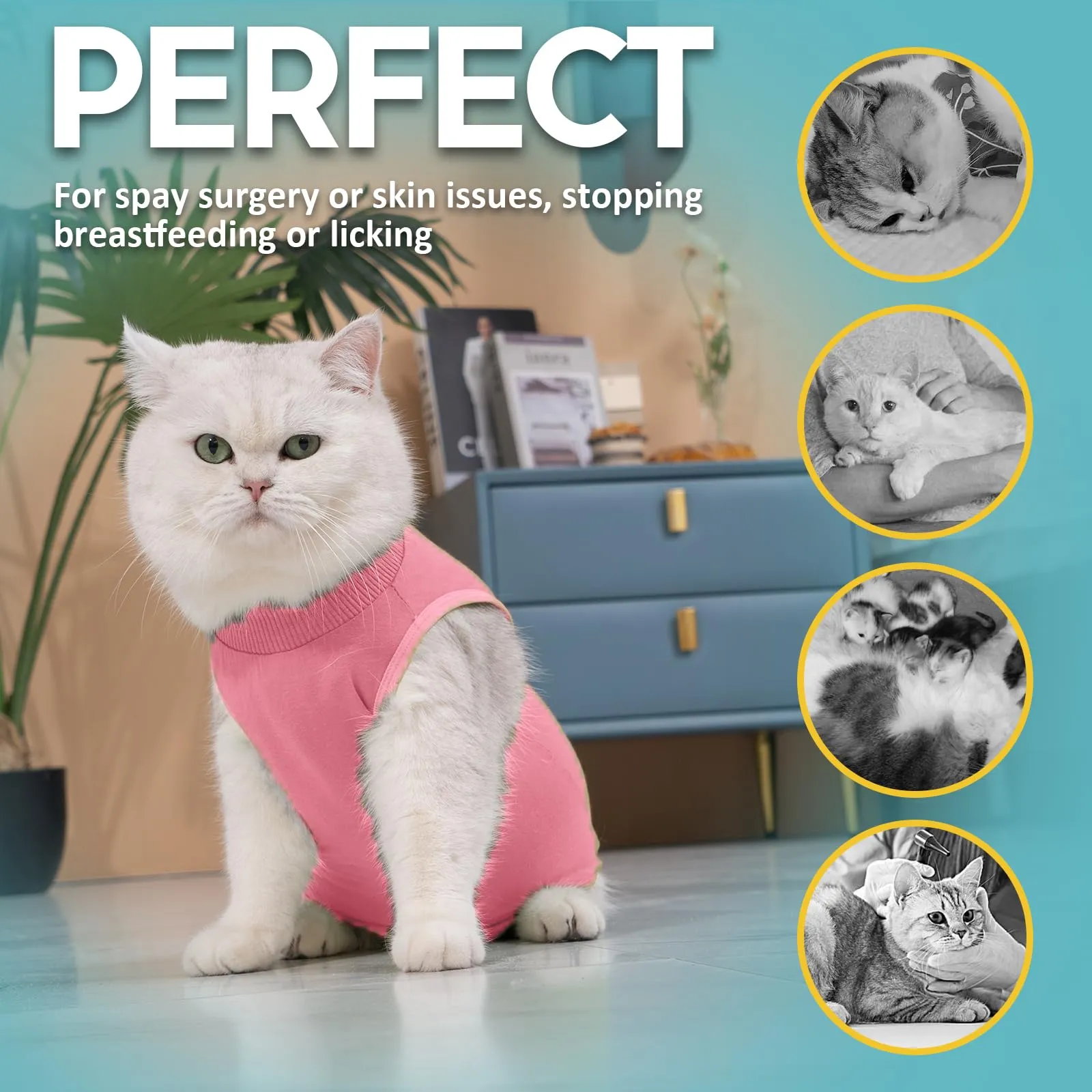 Avont Tuta da Recupero per Gatti, Body Gatto Post Operatorio Sterilizzazione, Cat Recovery Suit, Vestito Gatto per Impedire Leccare Ferita Addominale Dopo l'intervento Chirurgico –Rosa(L) - immagine 6