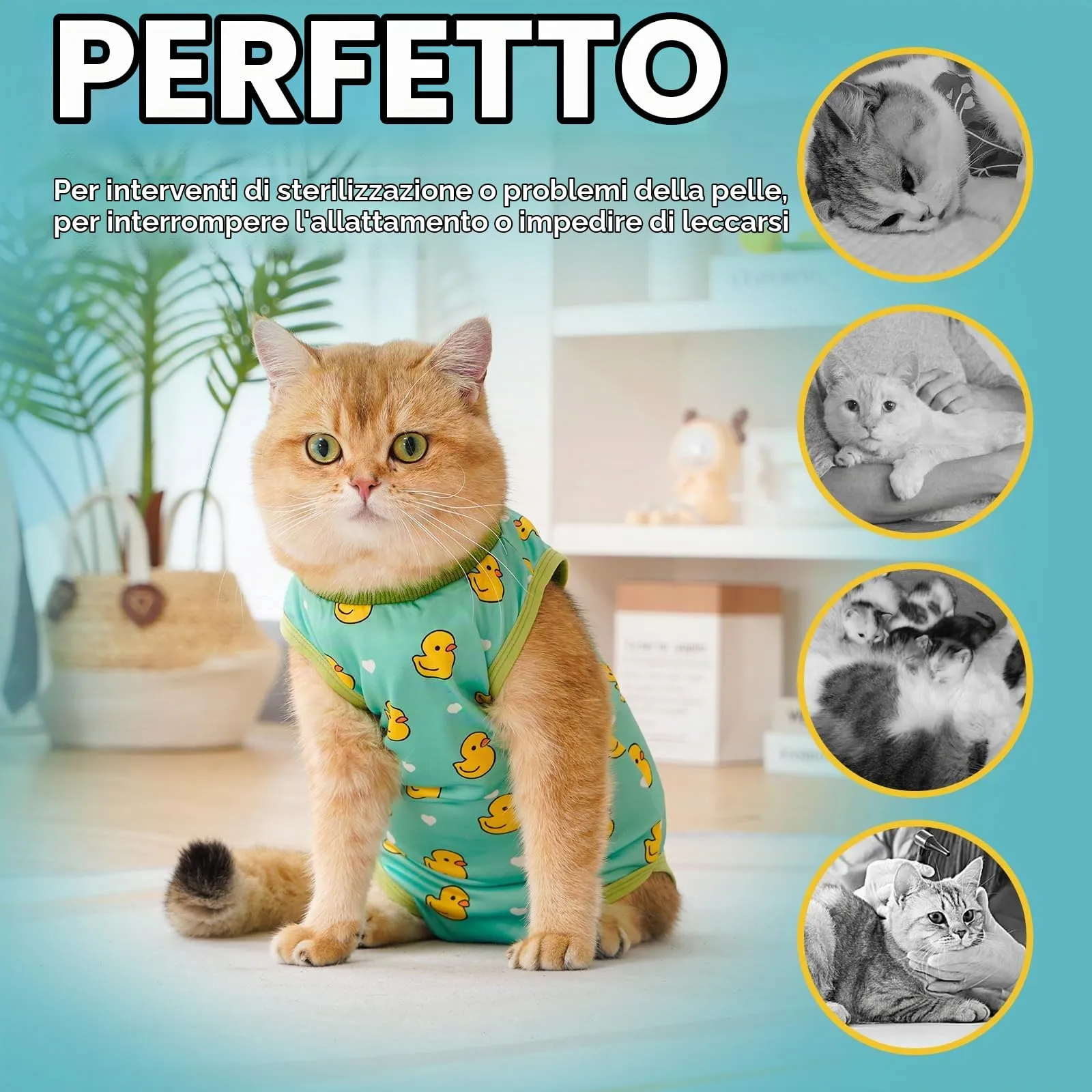 Avont Body Post Operatorio Gatto, Tutina Gatto Post Operatori Sterilizzazione, Cat Recovery Suit per Impedire Leccare Ferita Addominale Dopo l'intervento Chirurgico -Anatra(S) - immagine 4