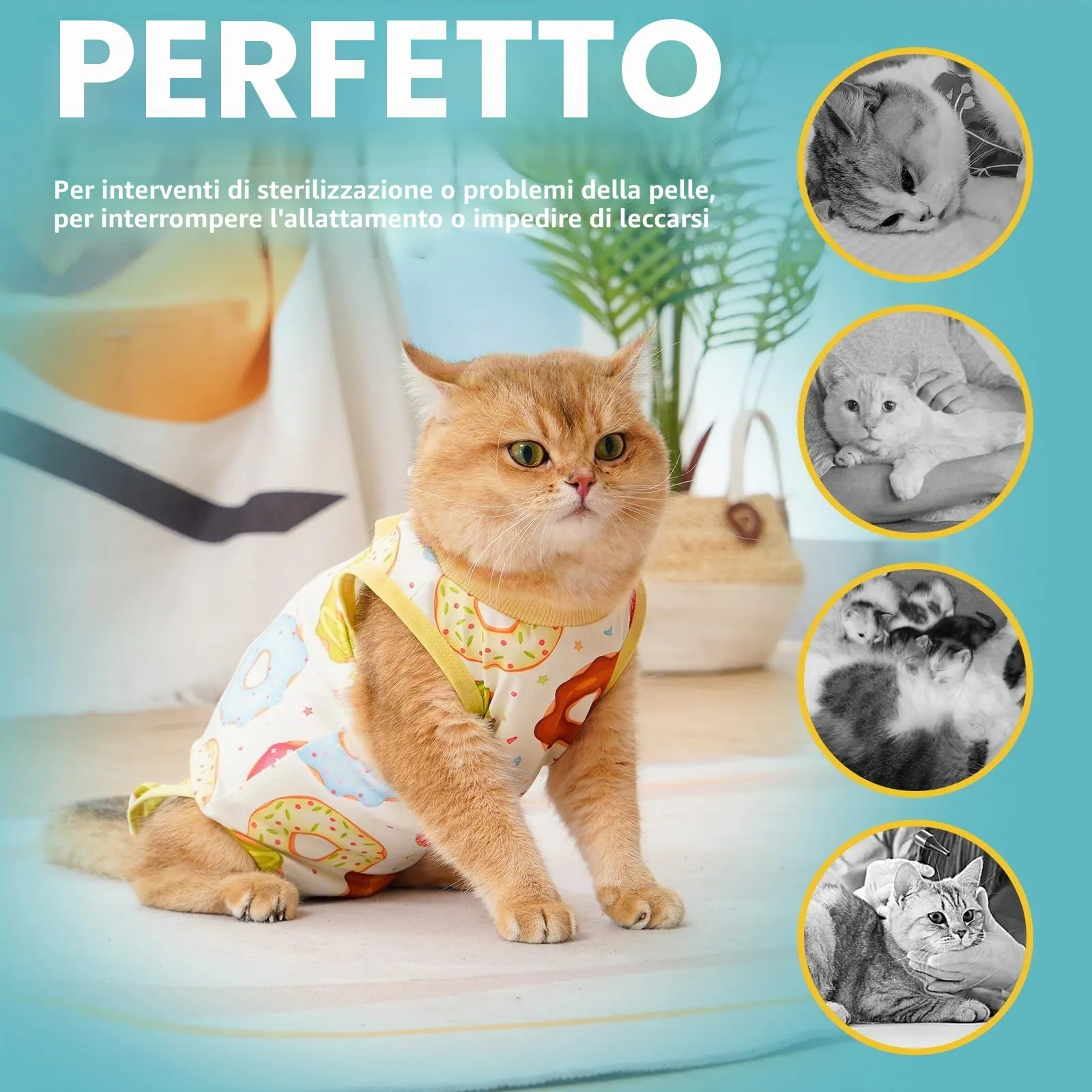 Avont Body Post Operatorio Gatto, Tutina Gatto Post Operatori Sterilizzazione, Cat Recovery Suit per Impedire Leccare Ferita Addominale Dopo l'intervento Chirurgico -Ciambella(M) - immagine 5