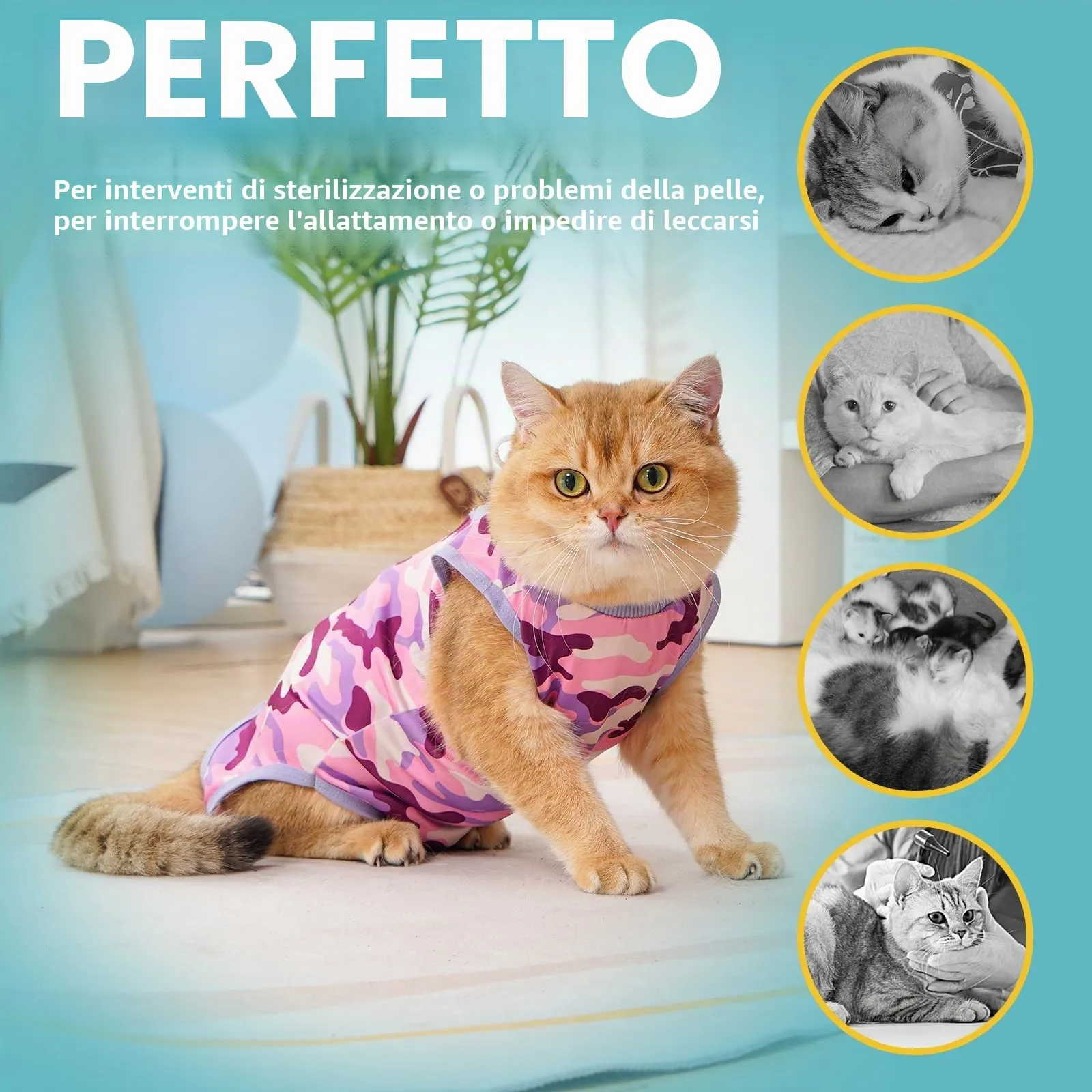 Avont Body Post Operatorio Gatto, Tutina Gatto Post Operatori Sterilizzazione, Cat Recovery Suit per Impedire Leccare Ferita Addominale Dopo l'intervento Chirurgico -Purplecamo(M) - immagine 5