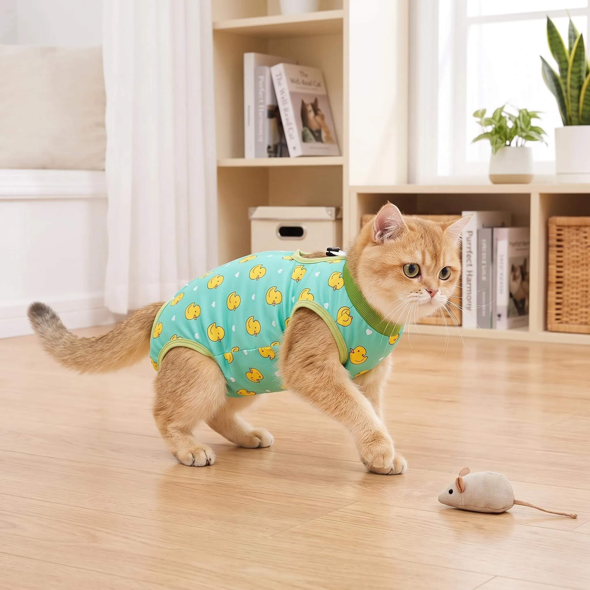Avont Body Post Operatorio Gatto, Tutina Gatto Post Operatori Sterilizzazione, Cat Recovery Suit per Impedire Leccare Ferita Addominale Dopo l'intervento Chirurgico -Anatra(L) - immagine 9